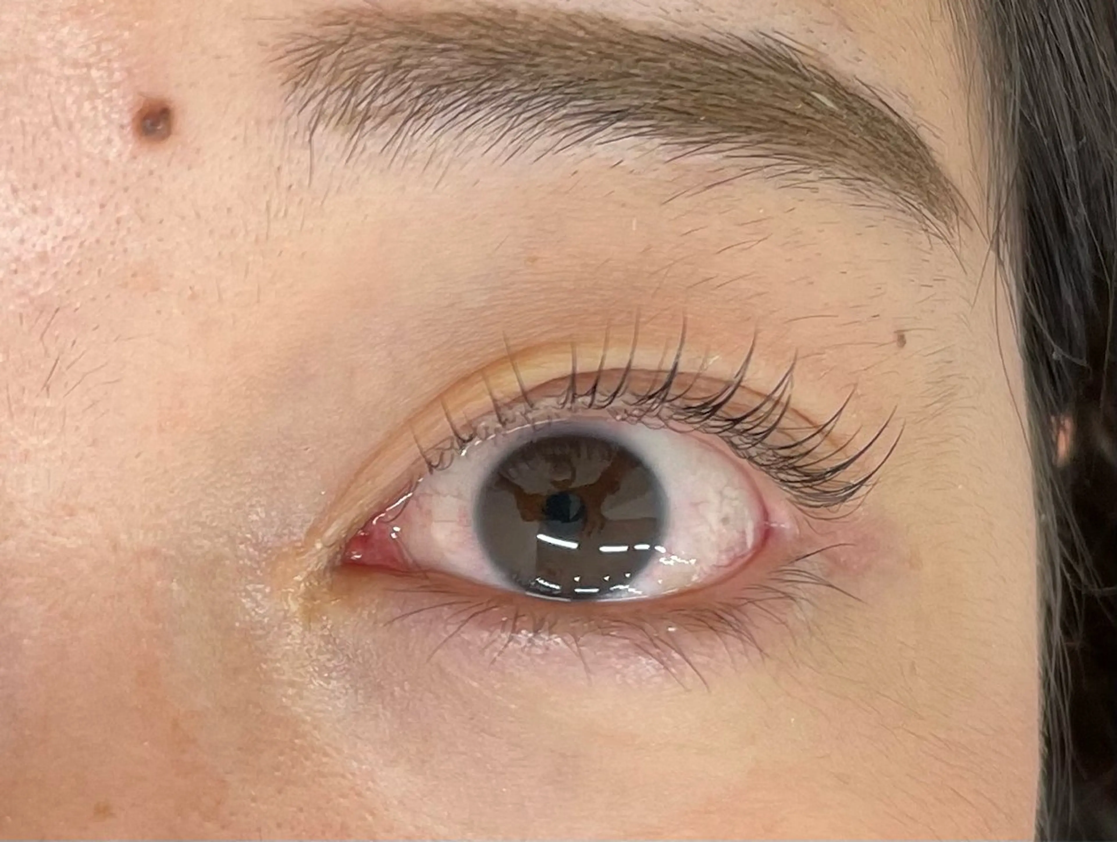 マツエク・マツパ マリーテレジア 🪻YUKAのマツエク・マツパデザイン