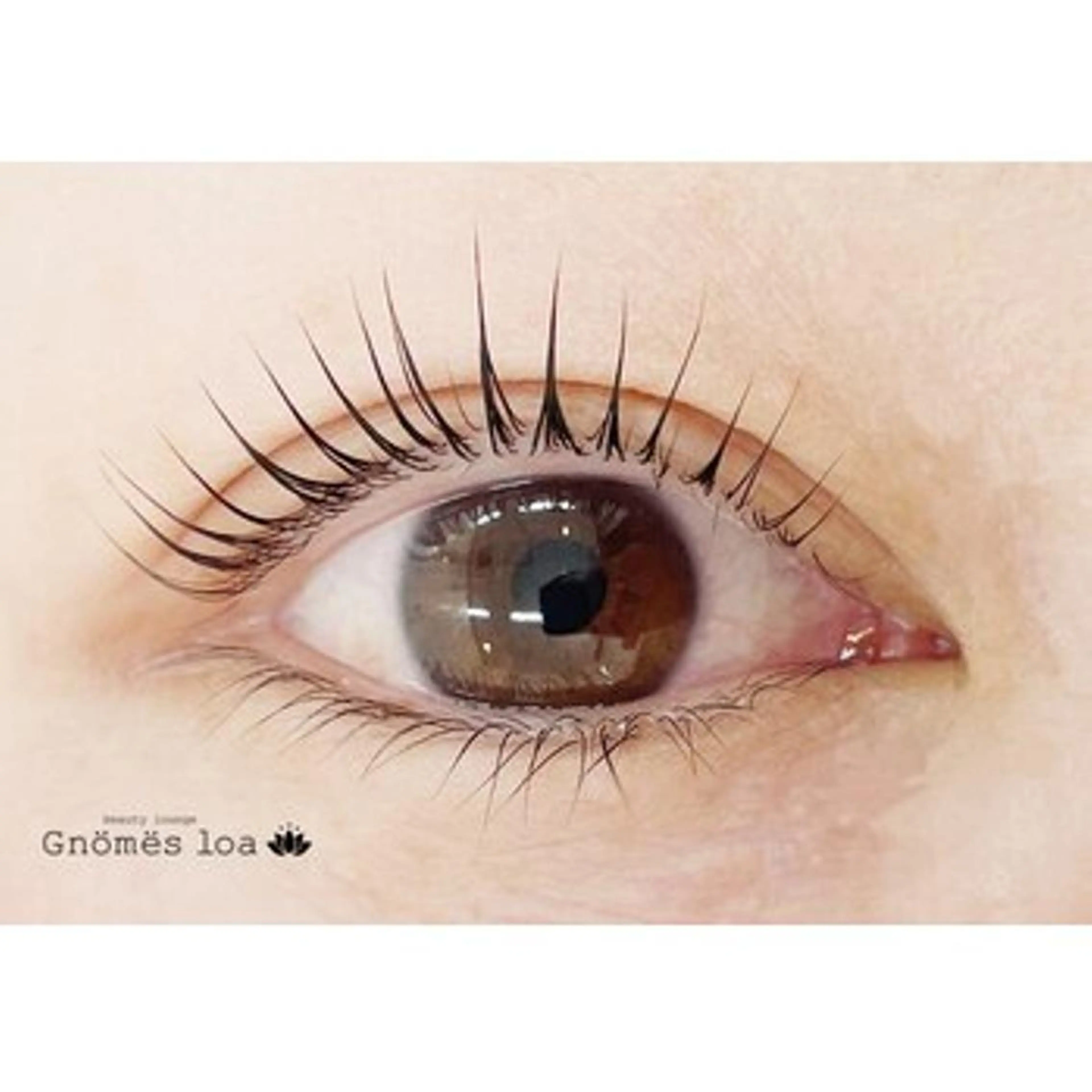 パリジェンヌラッシュリフト（オフなし）の写真