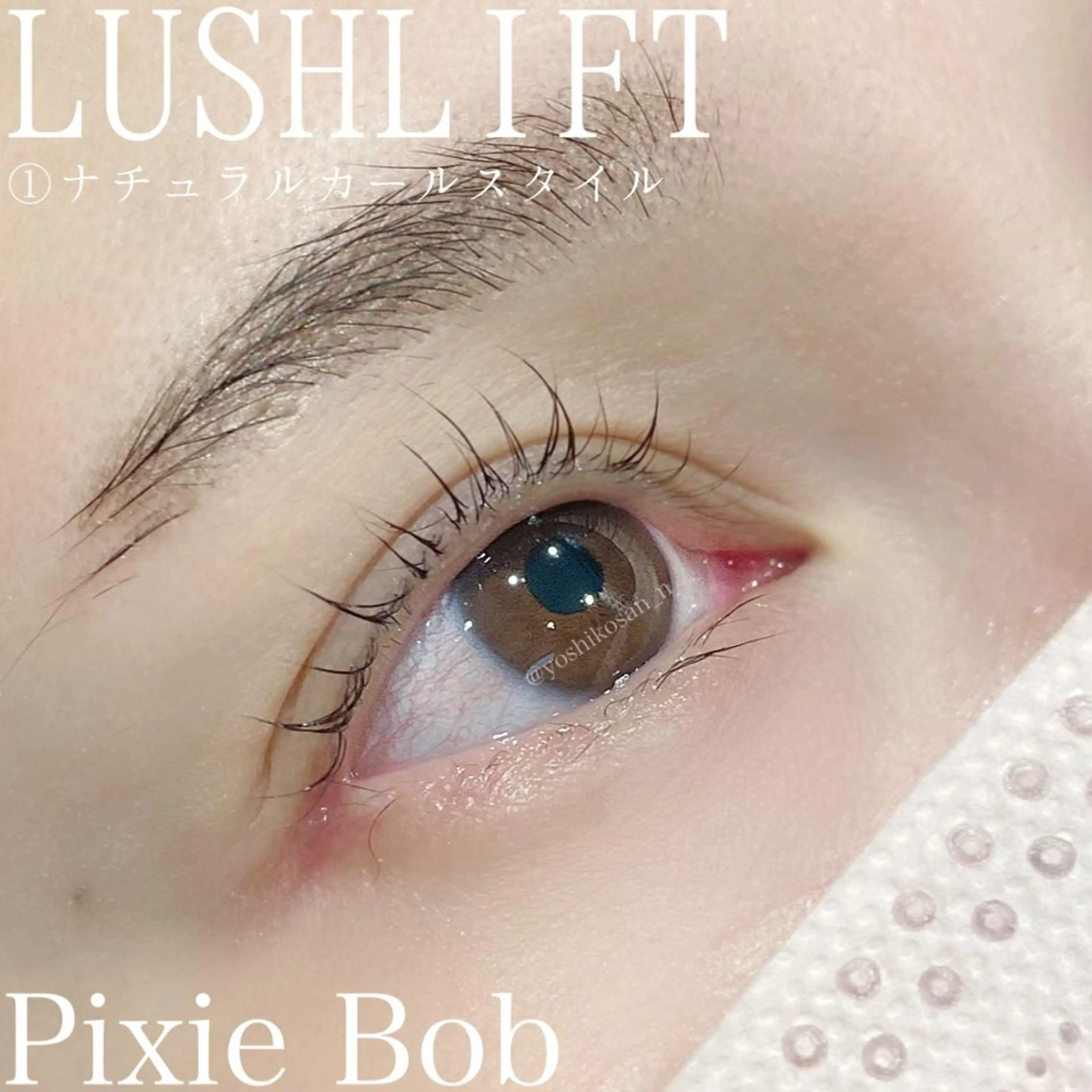 マツエク・マツパ ナチュラル Pixie Bob 🐈‍⬛　位田のマツエク・マツパデザイン