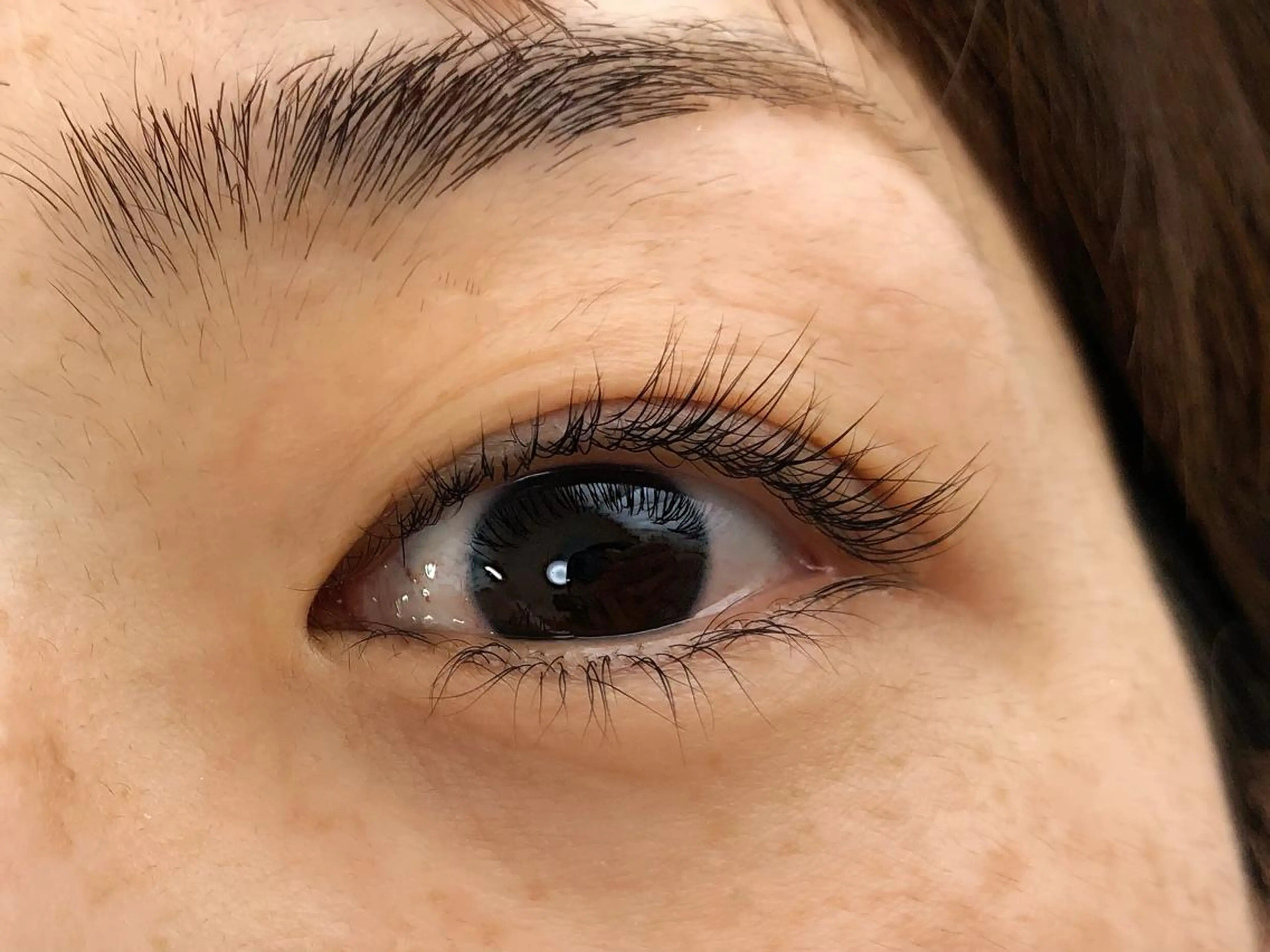 マツエク・マツパ マツパ Plume micoのマツエク・マツパデザイン