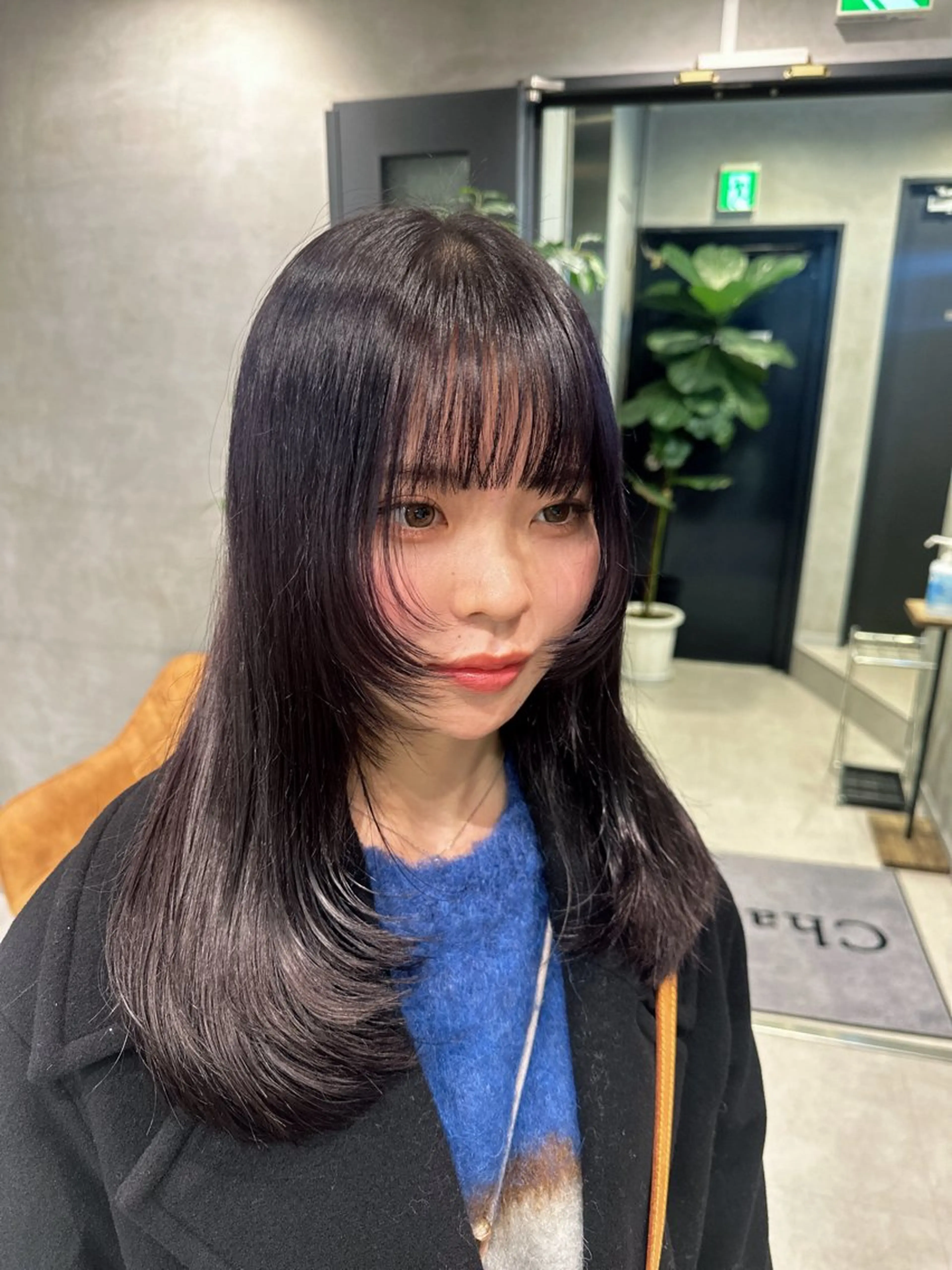 ロング カラー 銀座レイヤーカット ×シースルー前髪のヘアスタイル