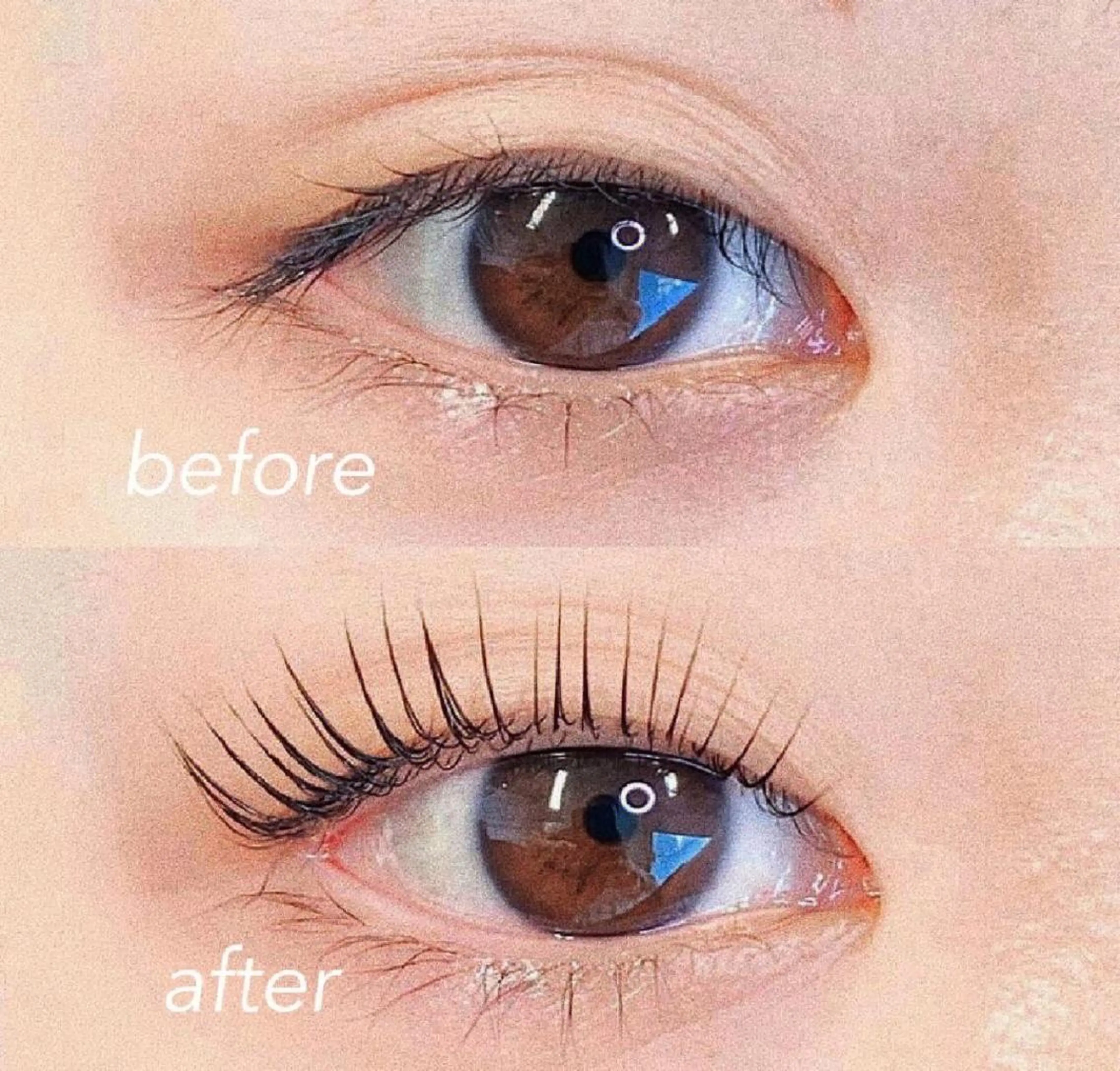 パリジェンヌラッシュリフト上下set 束感含むの写真