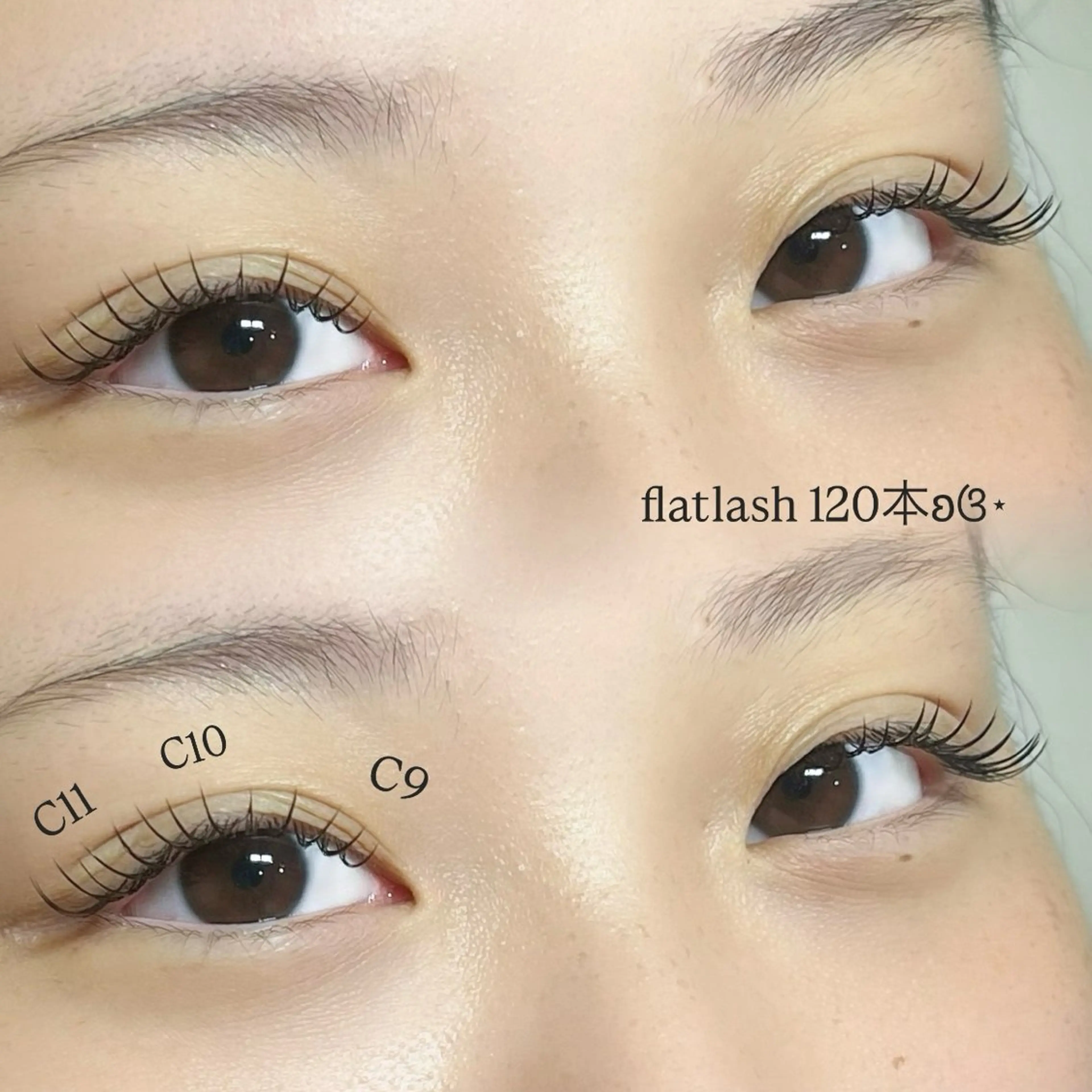 【学割U24】フラットラッシュ120本の写真