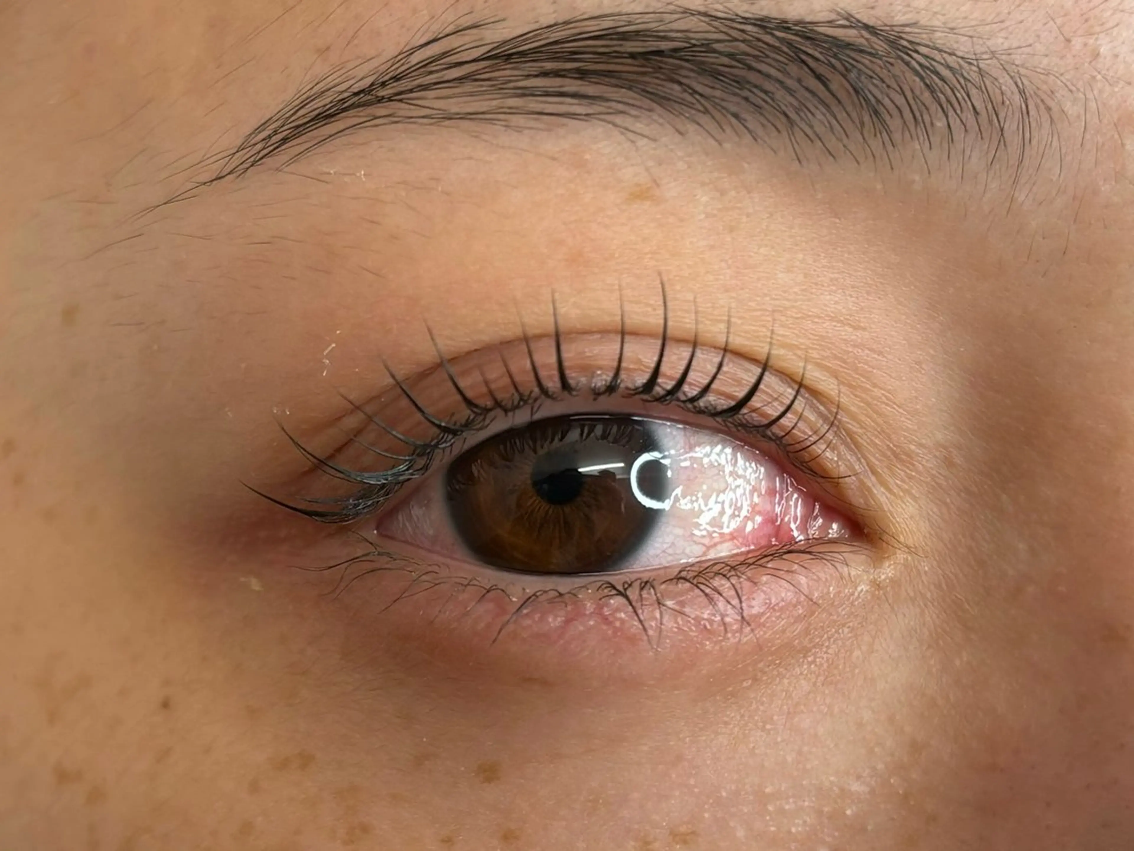 マツエク・マツパ Arva 【Leia】のマツエク・マツパデザイン