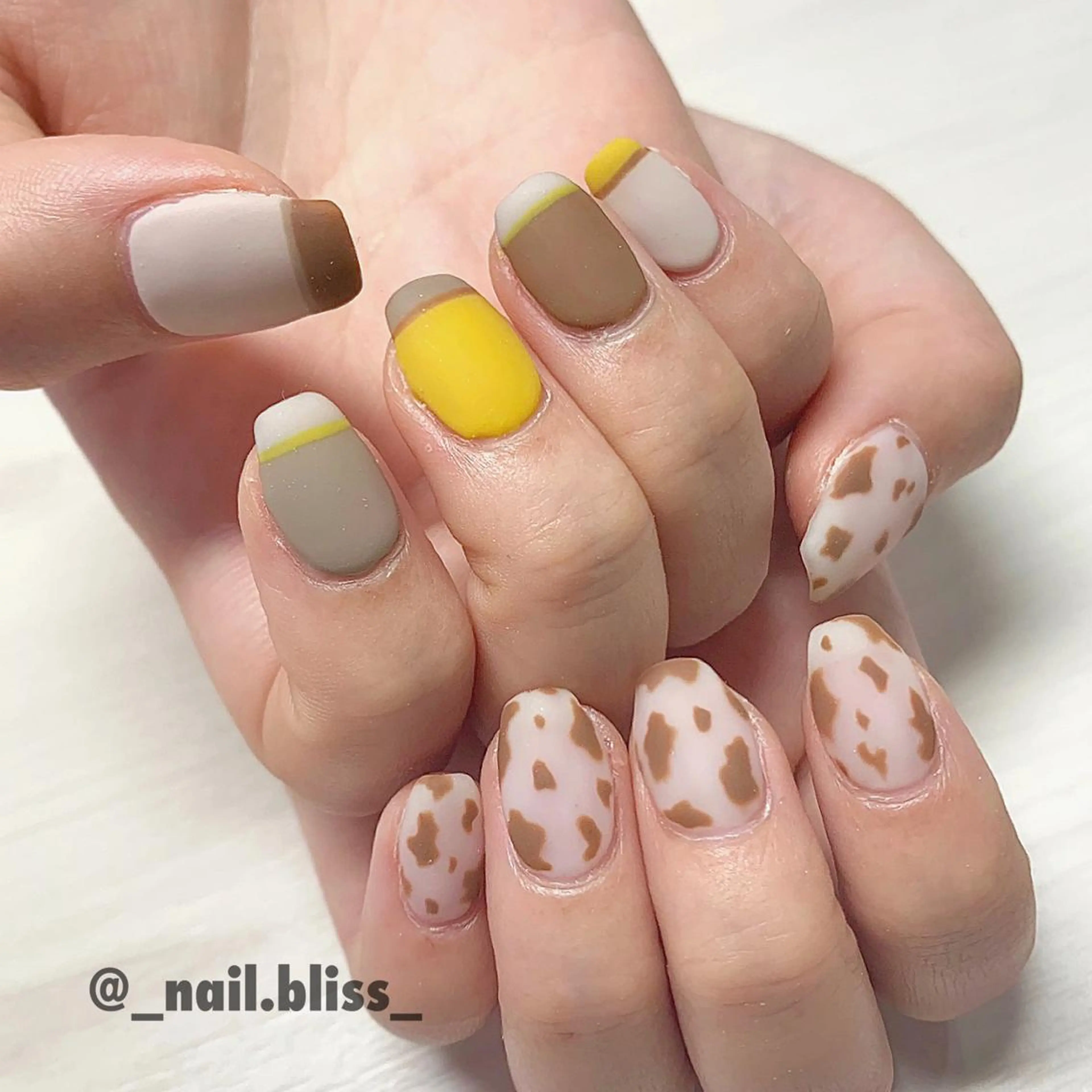 ネイル アニマル柄 フレンチネイル NAIL BLISSのネイルデザイン