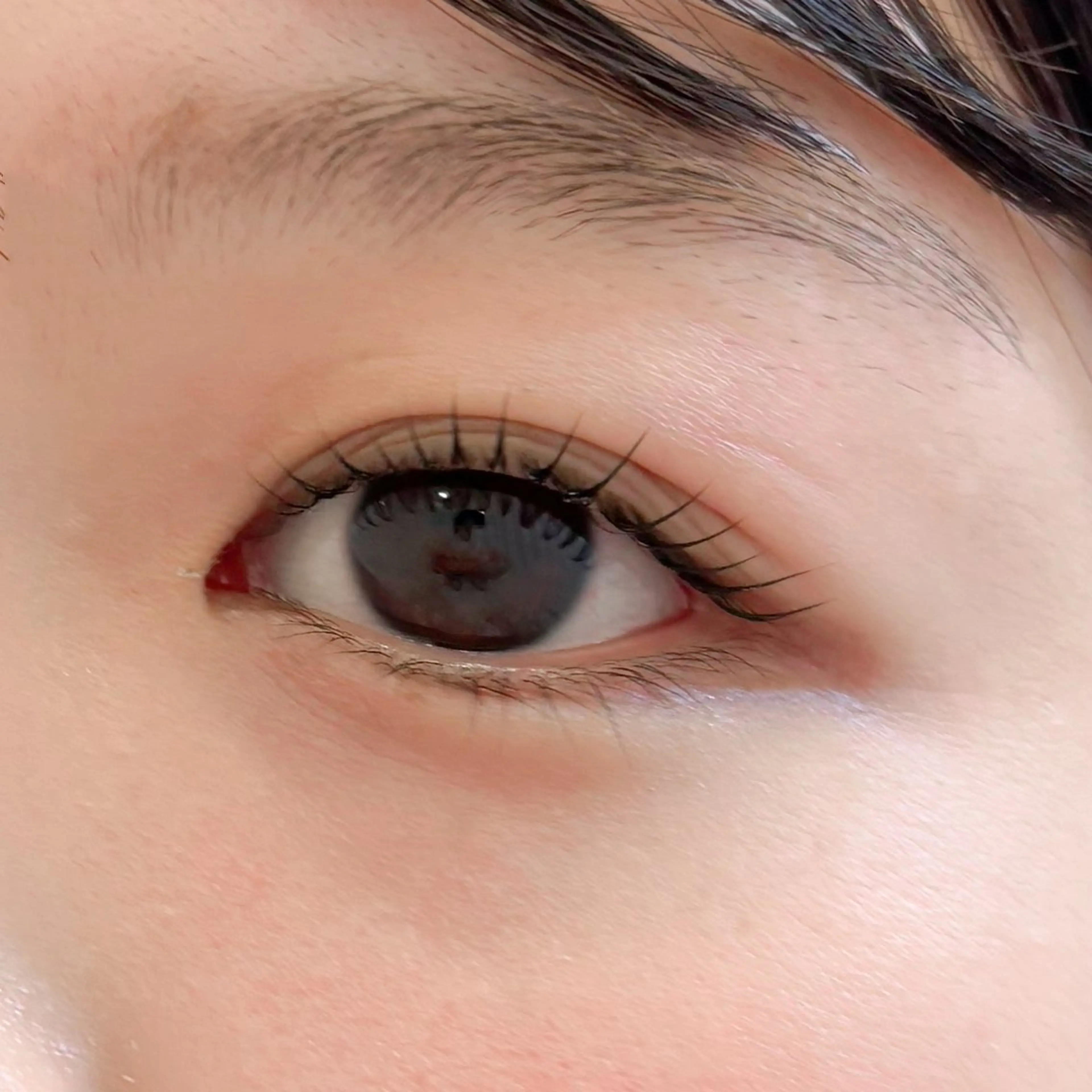 マツエク・マツパ マツパ 🌙Lily 船橋 鈴木のマツエク・マツパデザイン