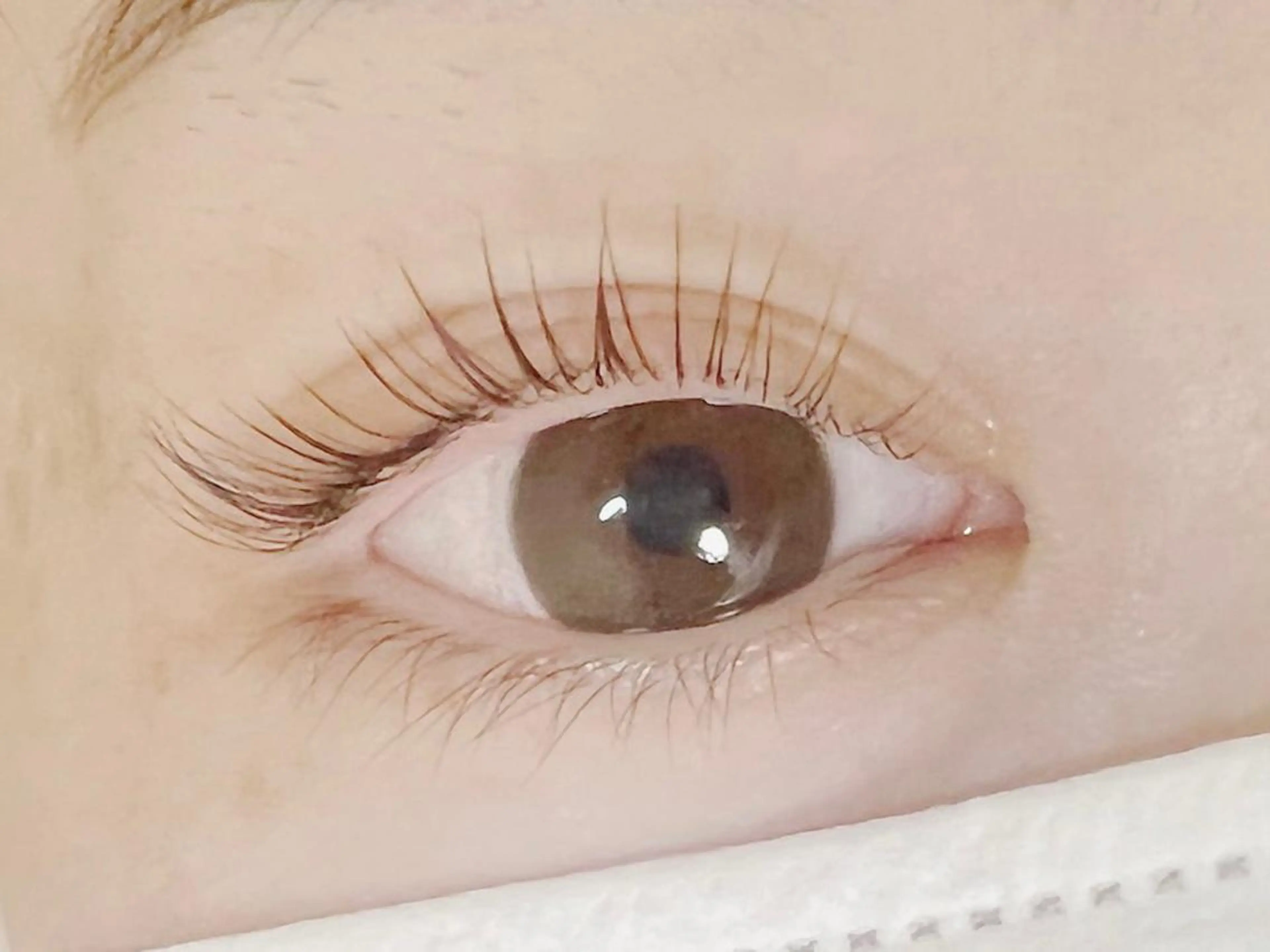 マツエク・マツパ パリジェンヌラッシュリフト まつげパーマ マツパ セレビアイ 新越谷店のマツエク・マツパデザイン