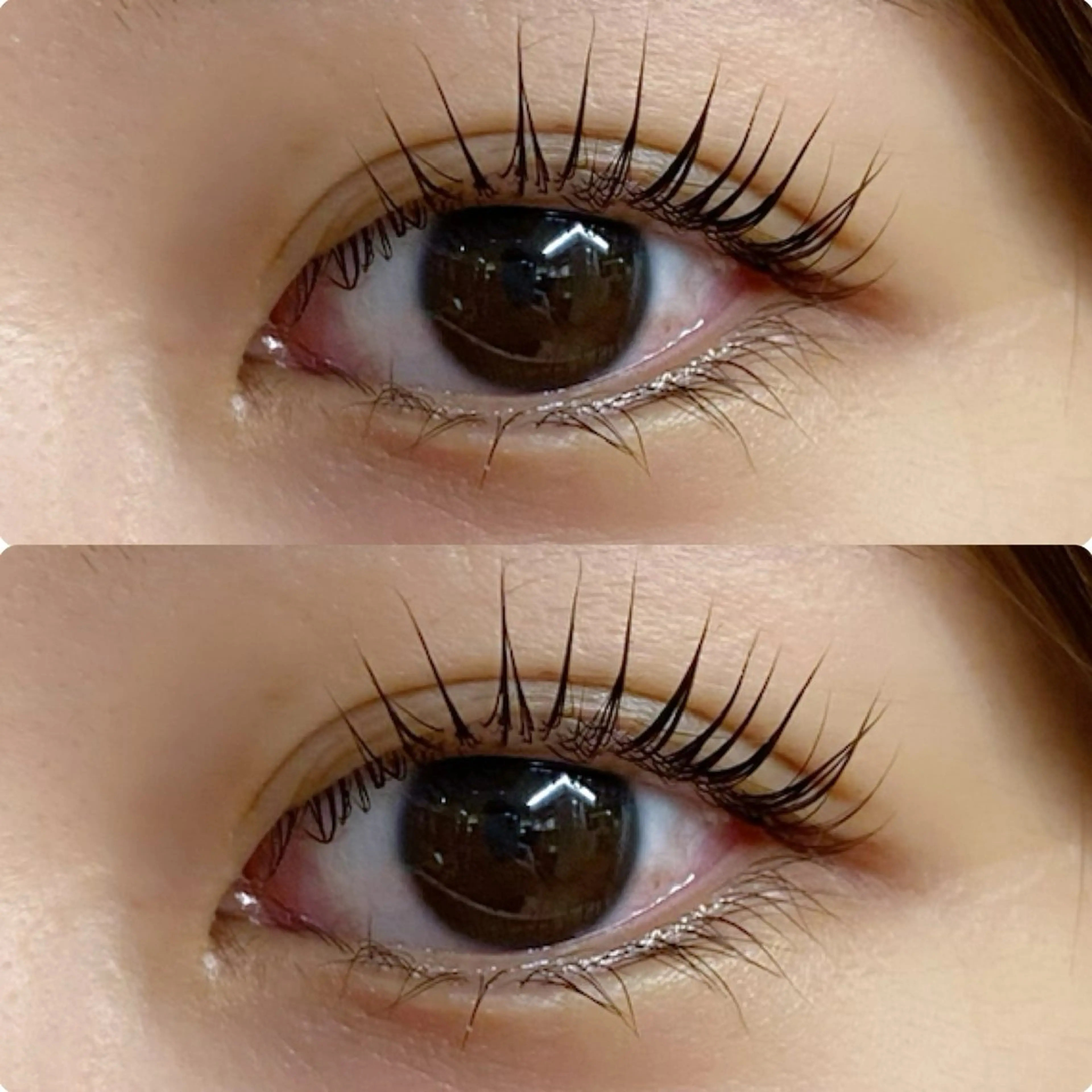 マツエク・マツパ Seek🎀 Aoiのヘアスタイル