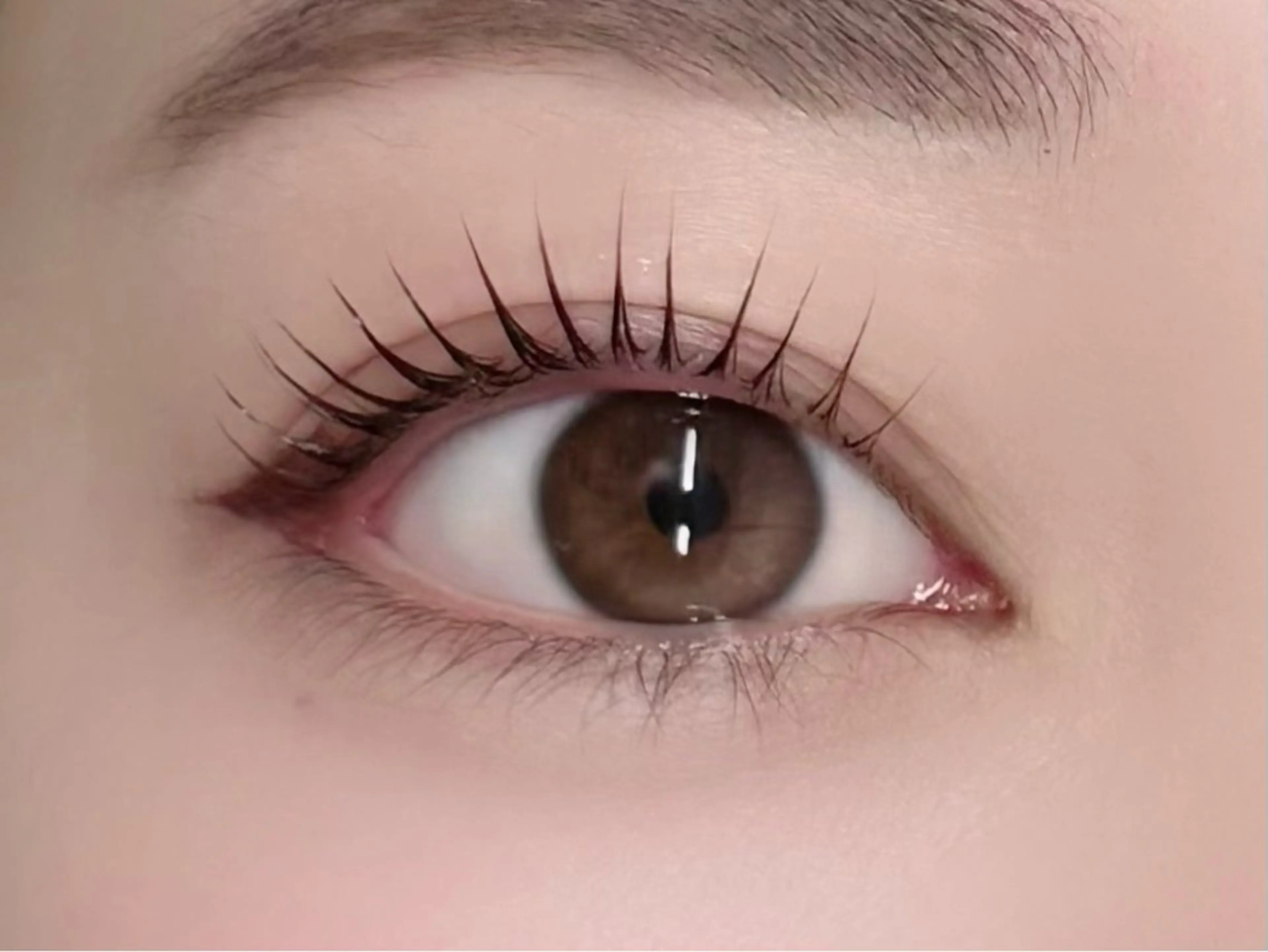 ラッシュリフト🪽の写真