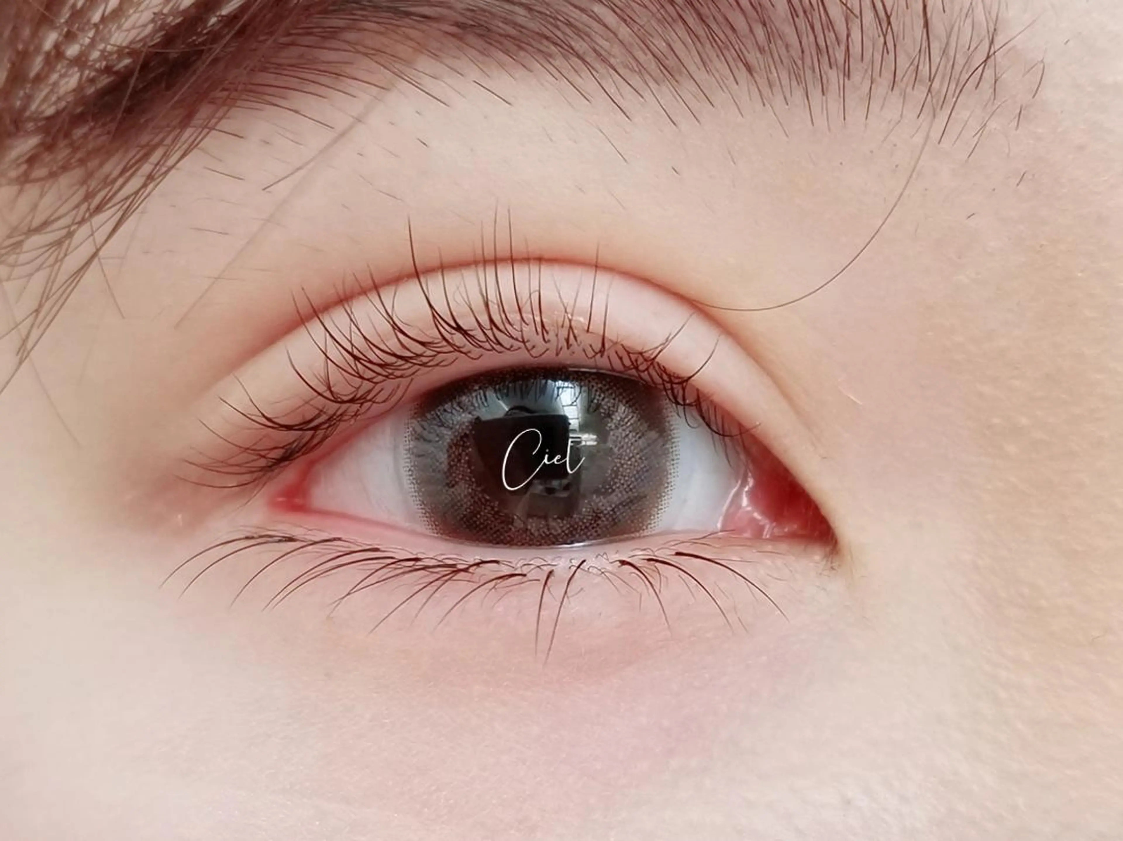 マツエク・マツパ パリジェンヌラッシュリフト eyelash salonCielのマツエク・マツパデザイン