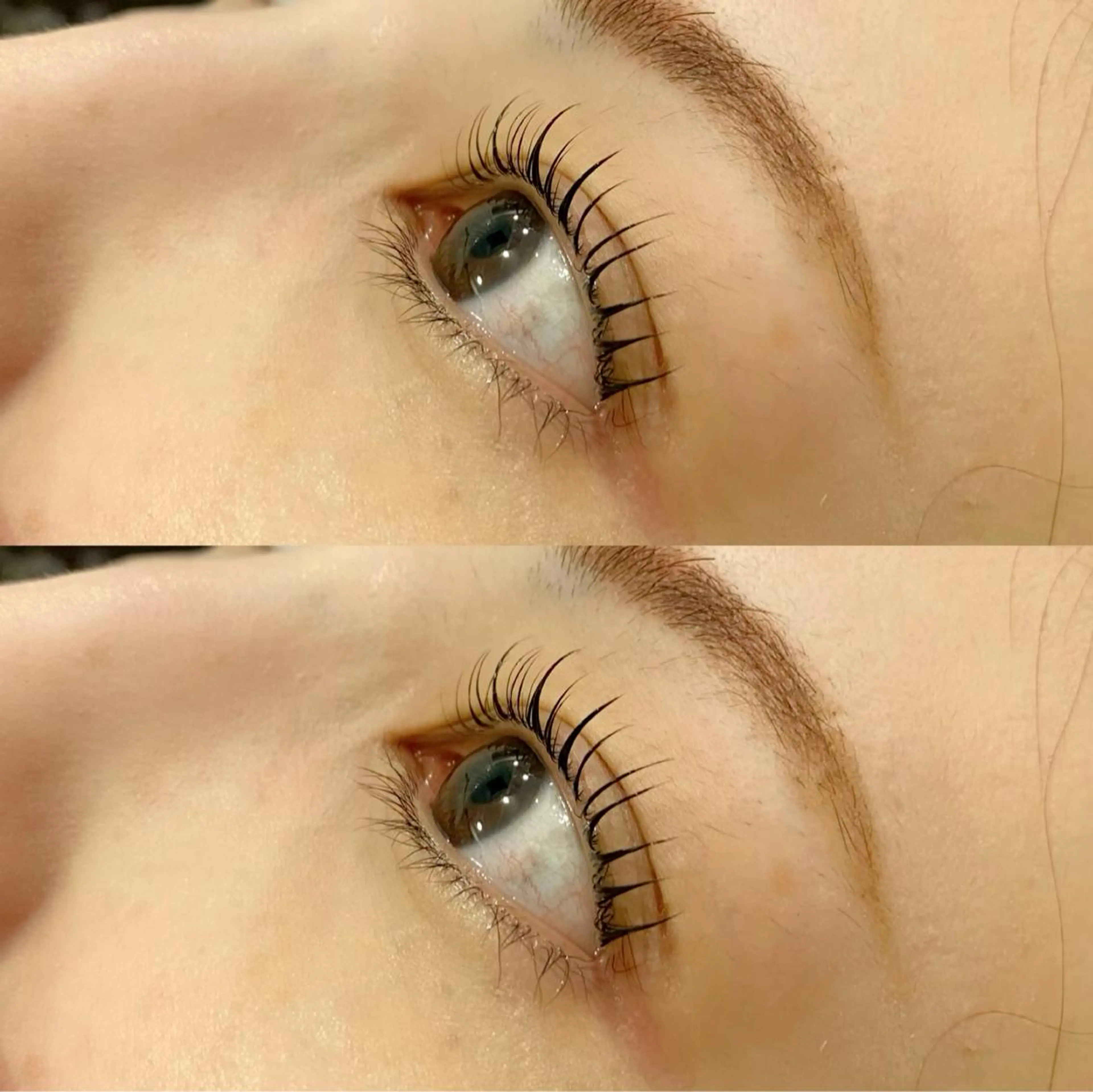 マツエク・マツパ パリジェンヌラッシュリフト デイジーラッシュ 天王寺　南のマツエク・マツパデザイン