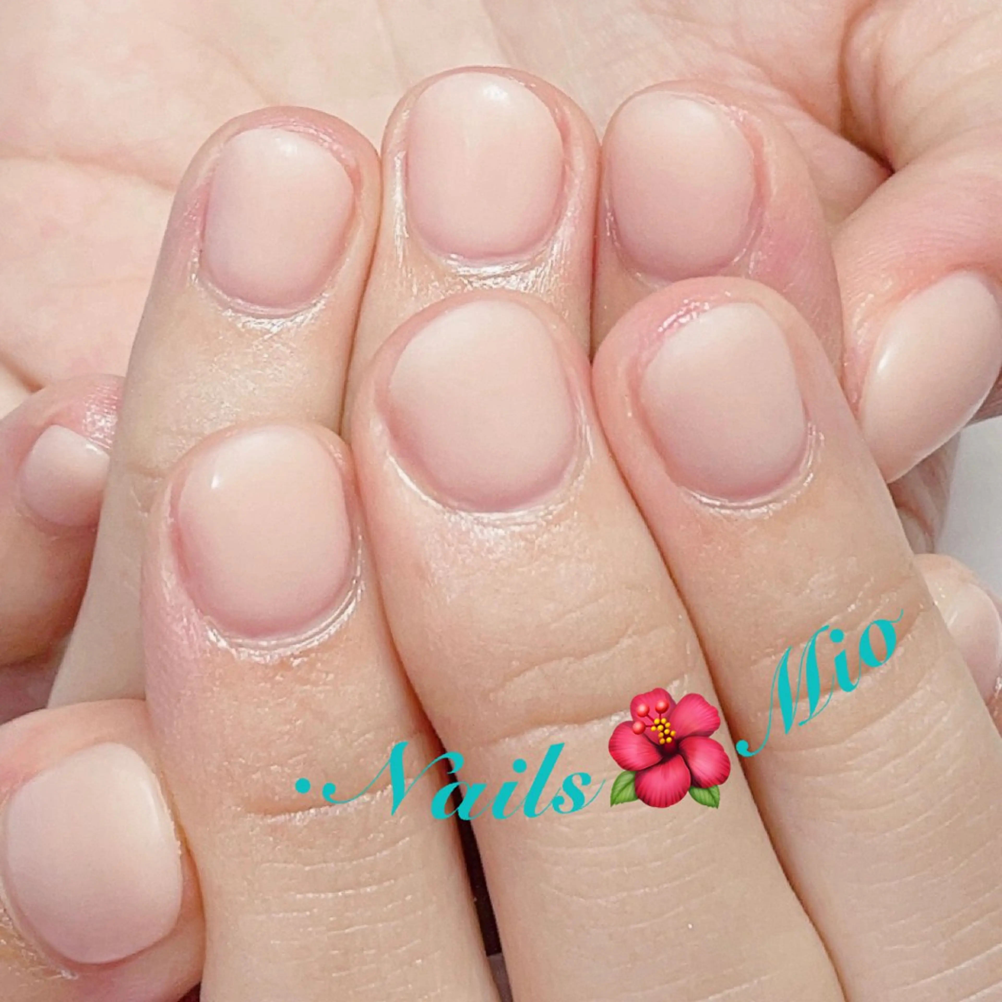 ネイル ジェルネイル マットネイル ワンカラーネイル .Nails Mio 赤羽西ネイルサロンのネイルデザイン