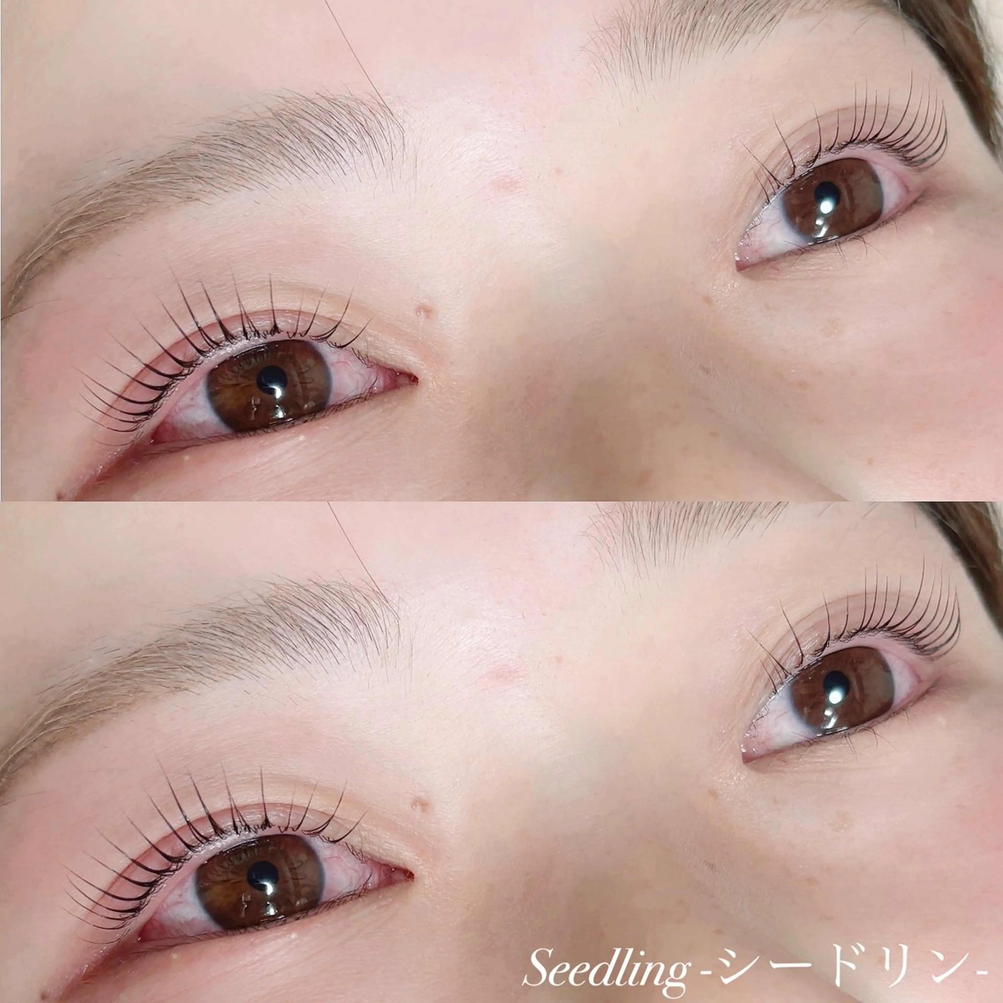 マツエク・マツパ シードリン 府内店 小野梨央のマツエク・マツパデザイン