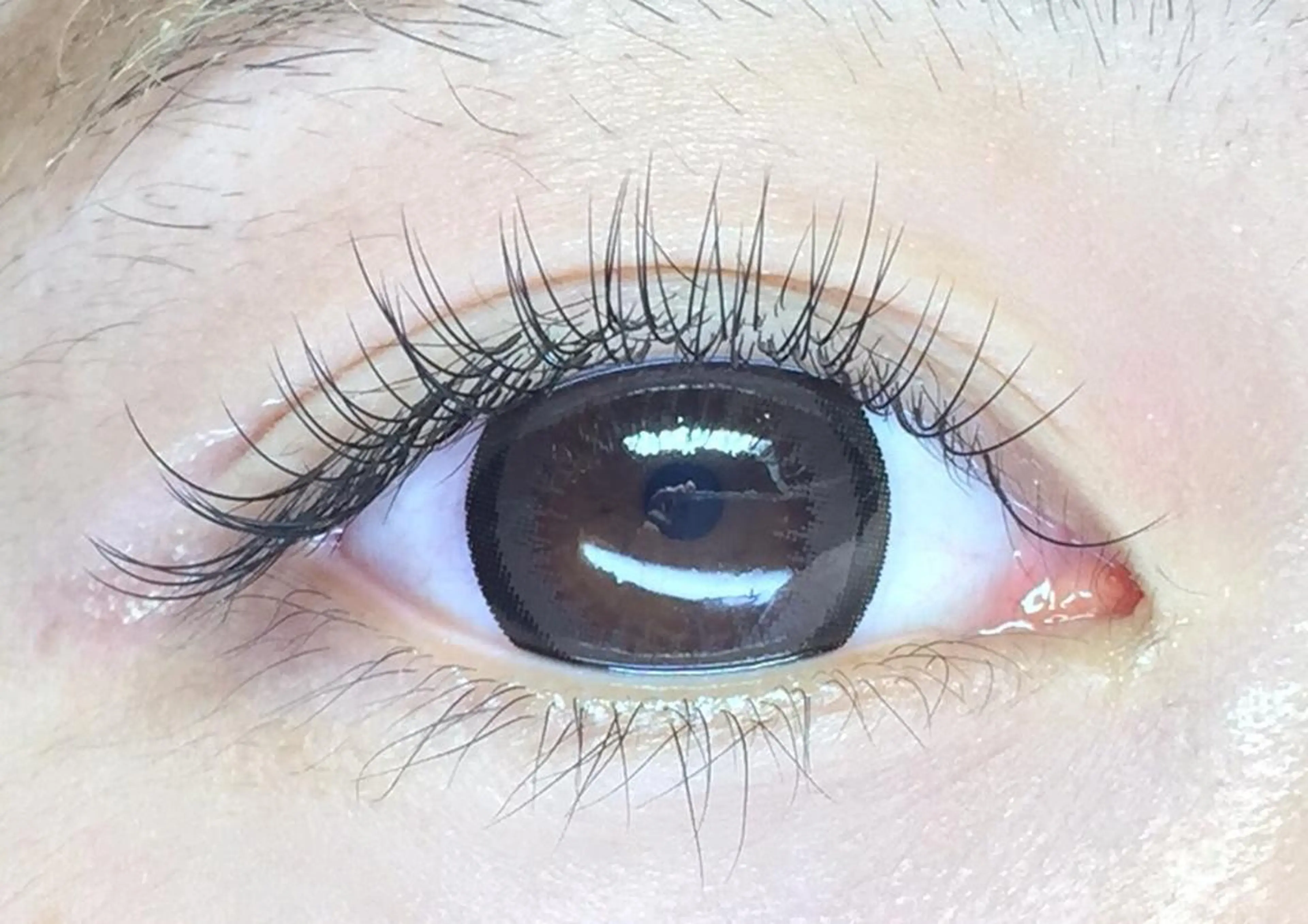 マツエク・マツパ マツエク リネル 新宿西口の眉毛・アイブロウイメージ