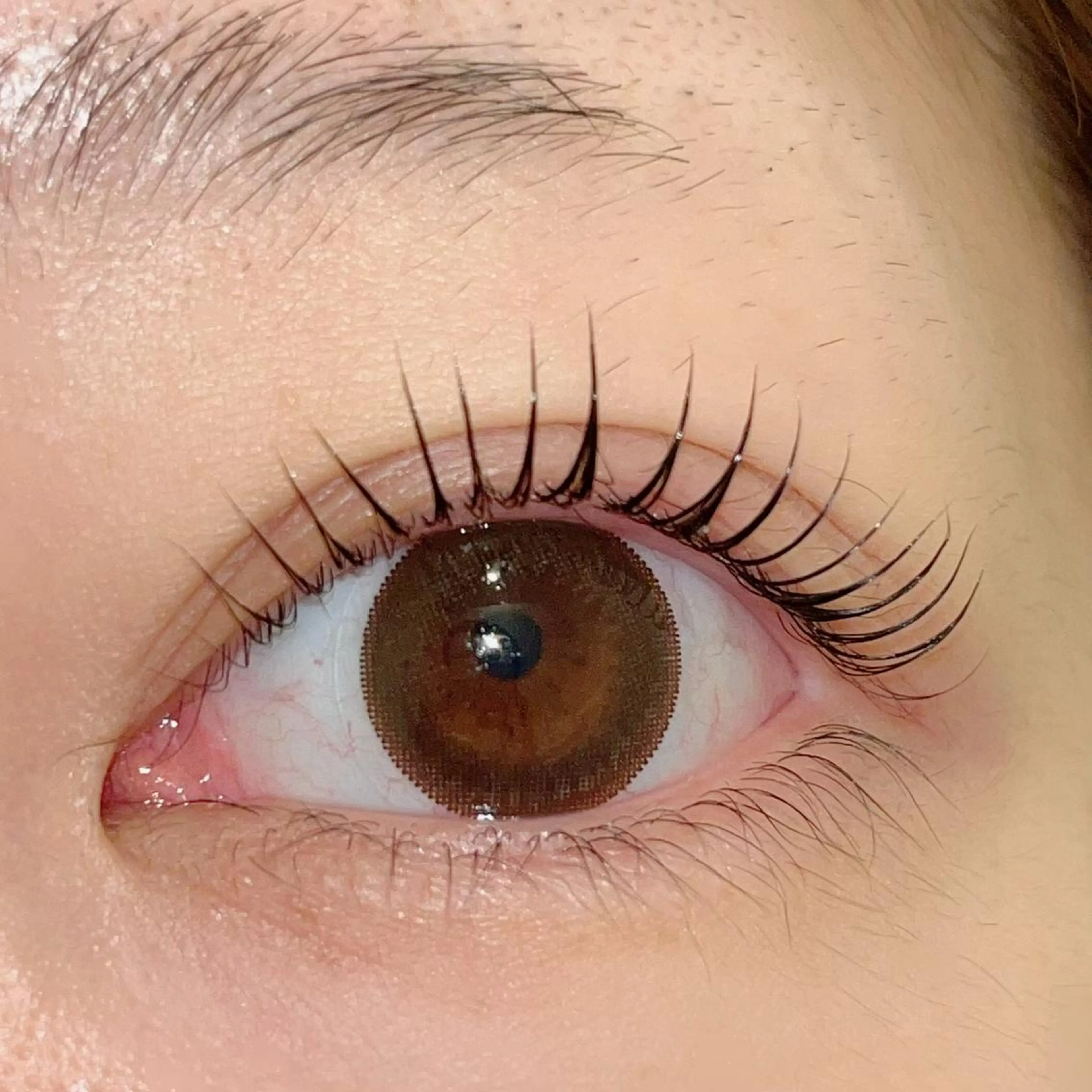 マツエク・マツパ パリジェンヌラッシュリフト まつげパーマ ai一重専門🎀束感 まつげ🫧表参道のマツエク・マツパデザイン