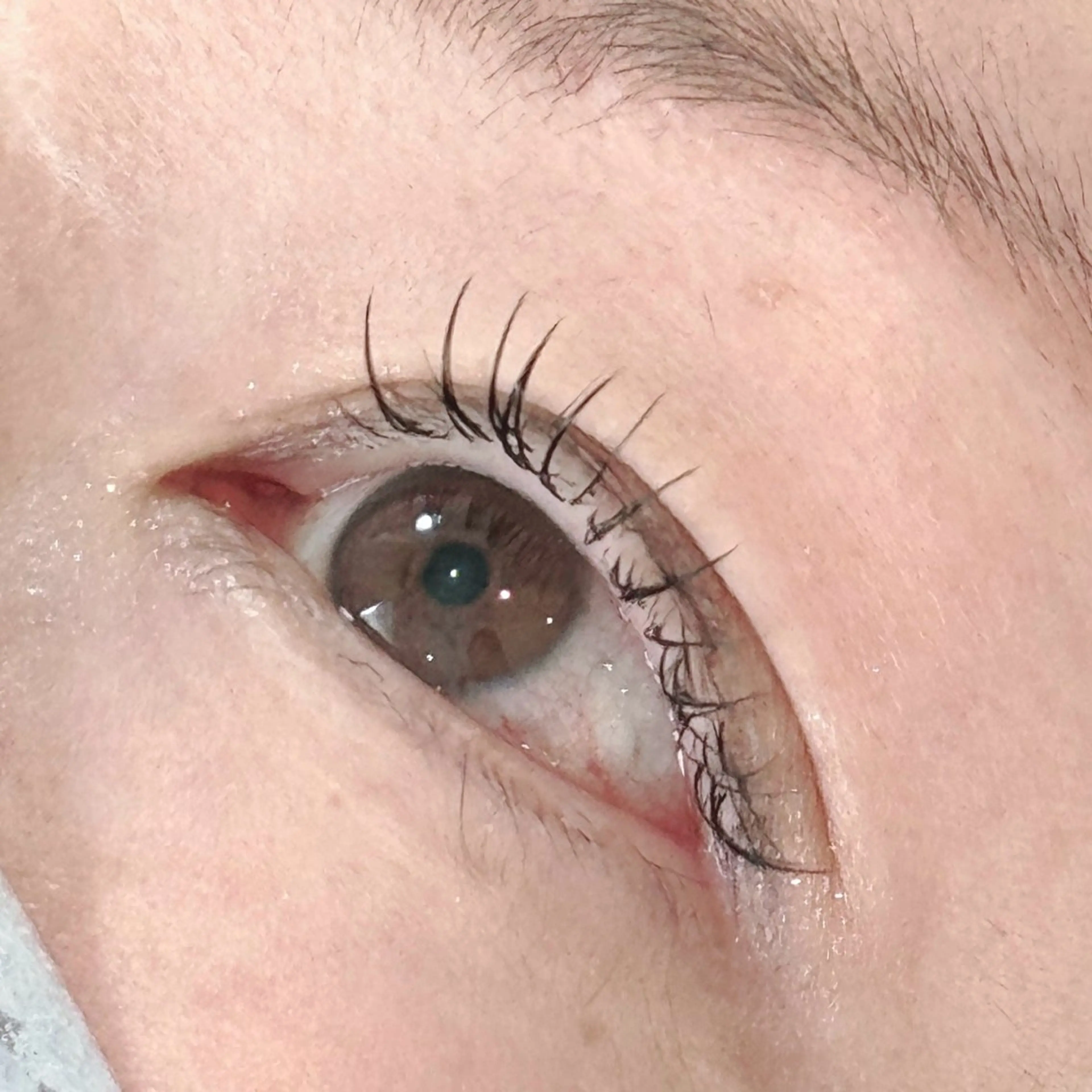 マツエク・マツパ Cカール フラットラッシュ ナチュラル セーブル マツエク August 大野のマツエク・マツパデザイン