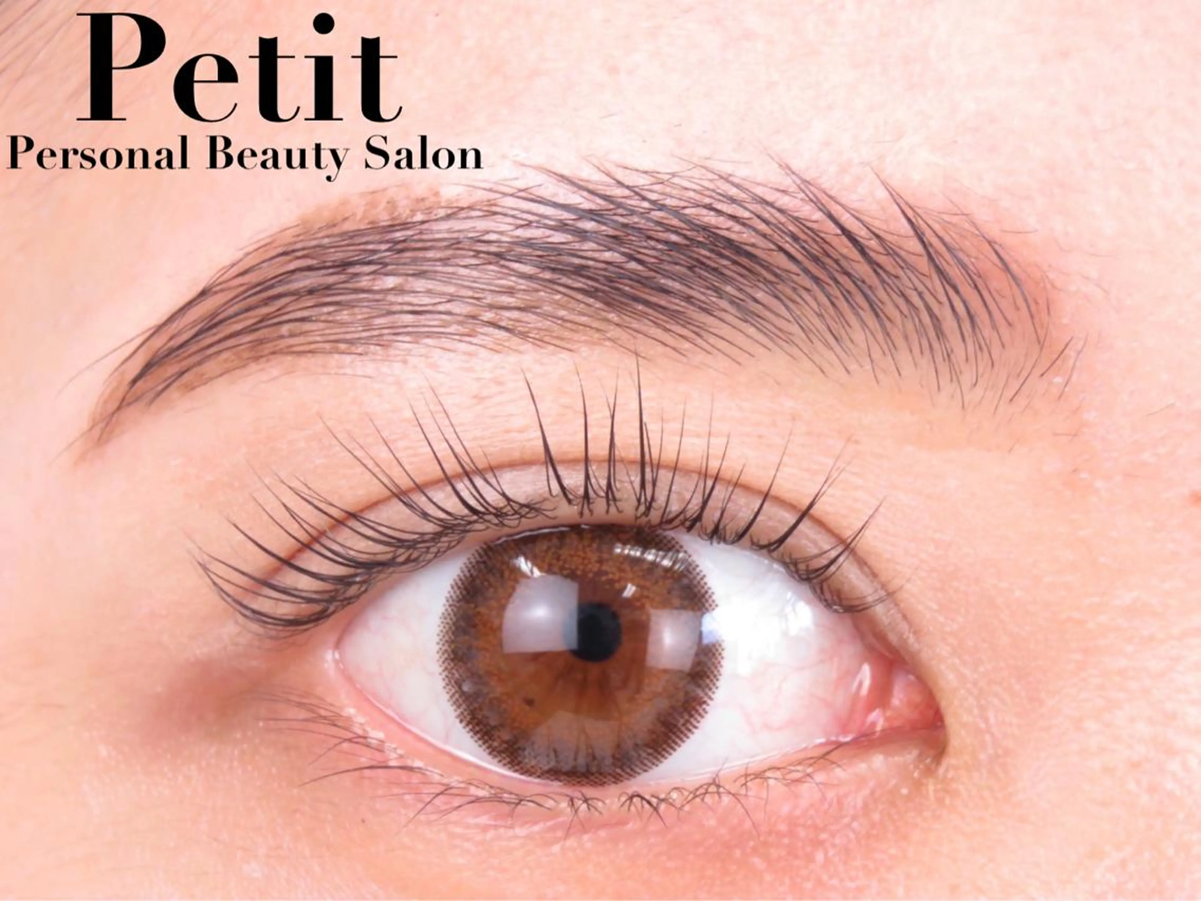 マツエク・マツパ アイブロウ ハリウッドブロウリフト パリジェンヌラッシュリフト パーソナルカラー診断 Petit横浜店✨のその他イメージ