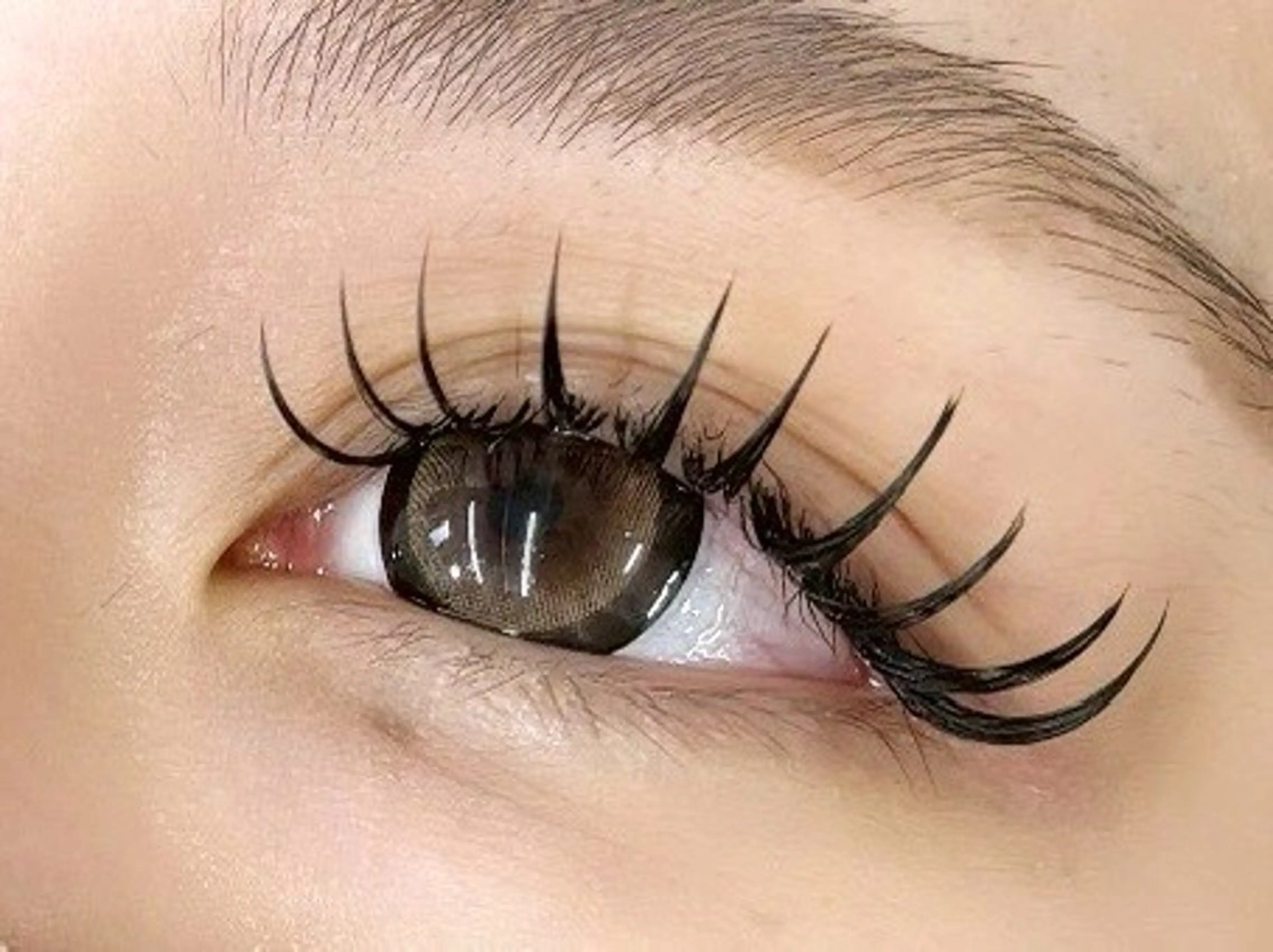 フラットラッシュ（100本）の写真