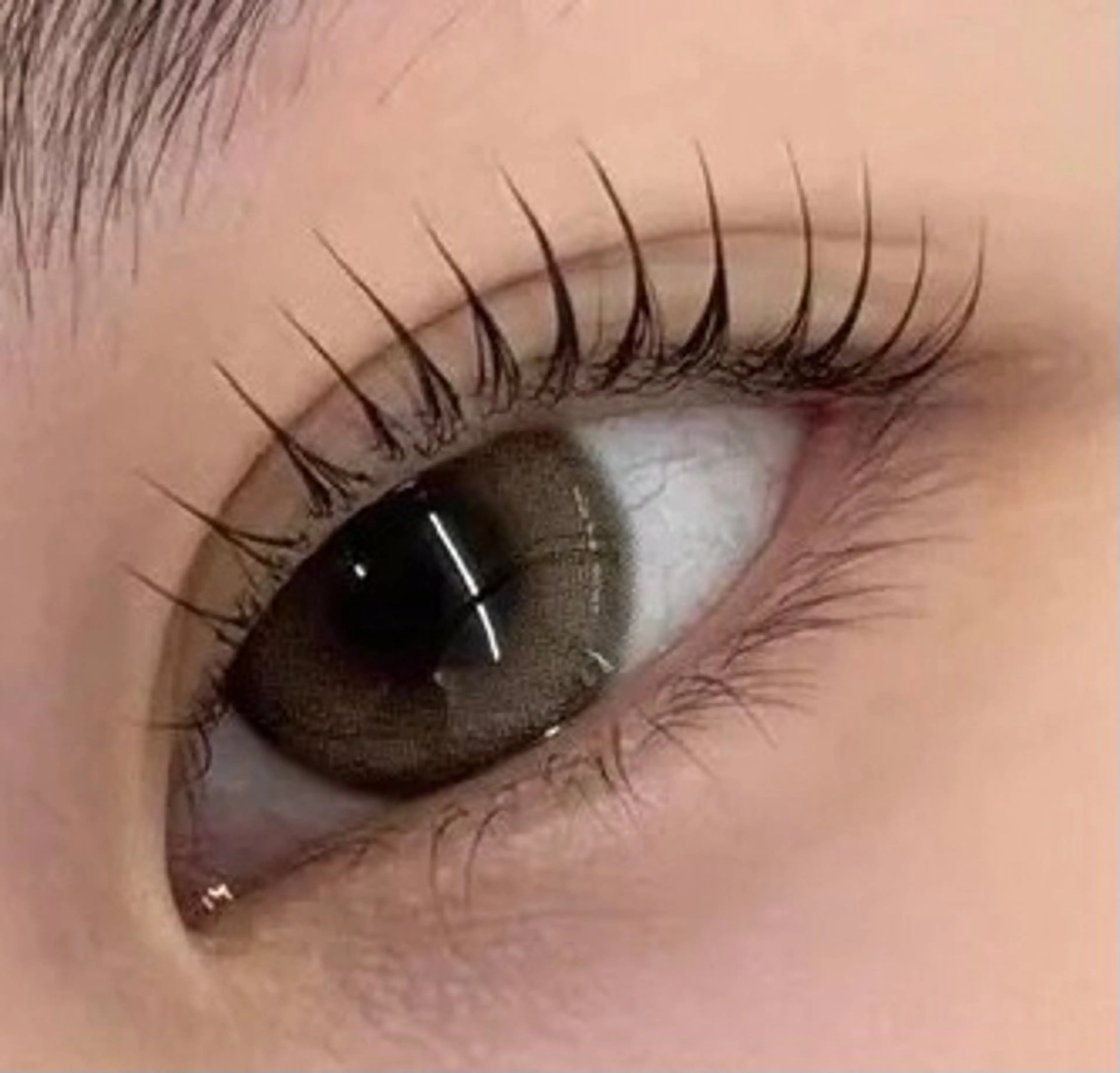 💓再来💓パリジェンヌorまつ毛パーマ上+コーテイング仕上がりの写真