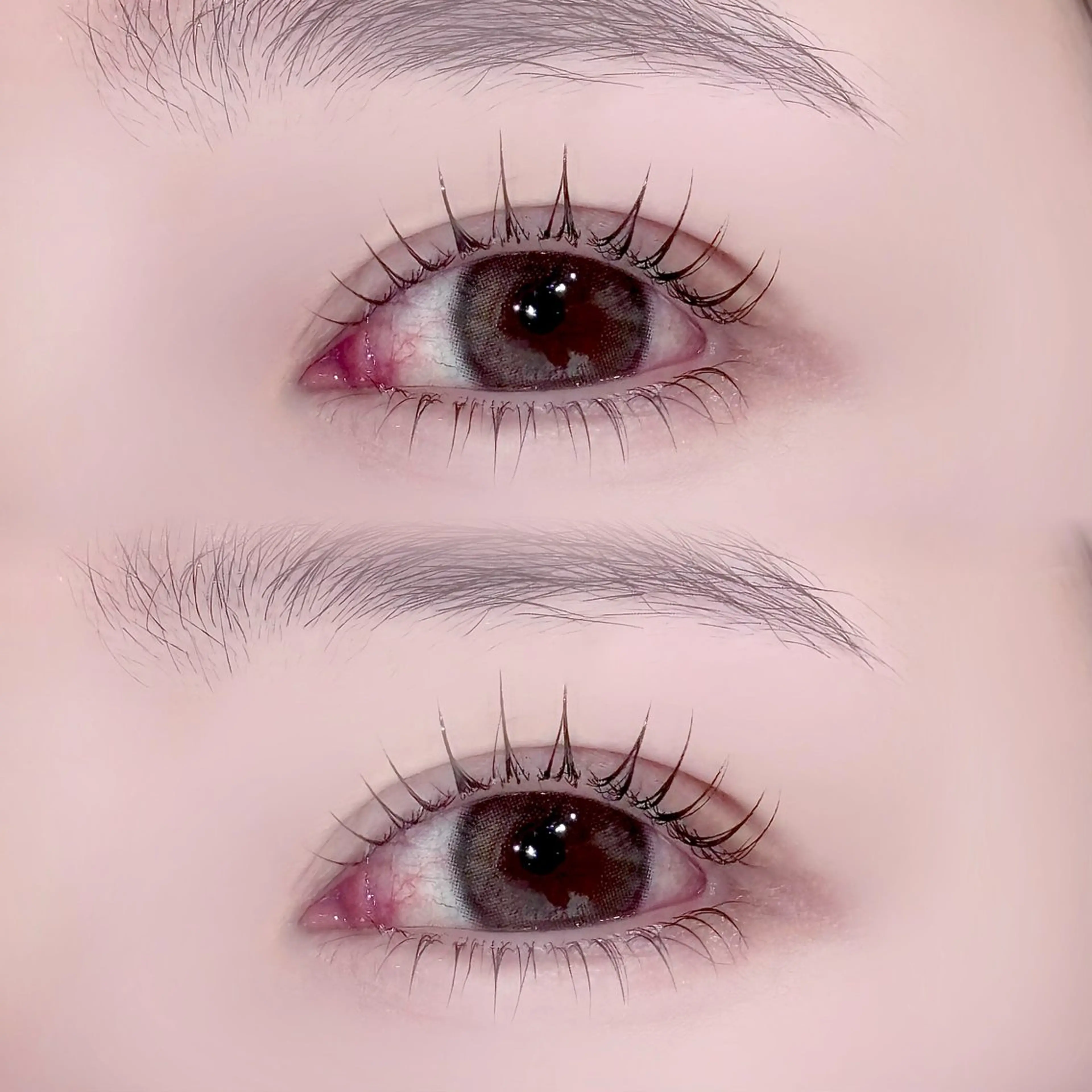 🎀新規様限定クーポン🎀上下パリジェンヌラッシュリフト💞💞の写真