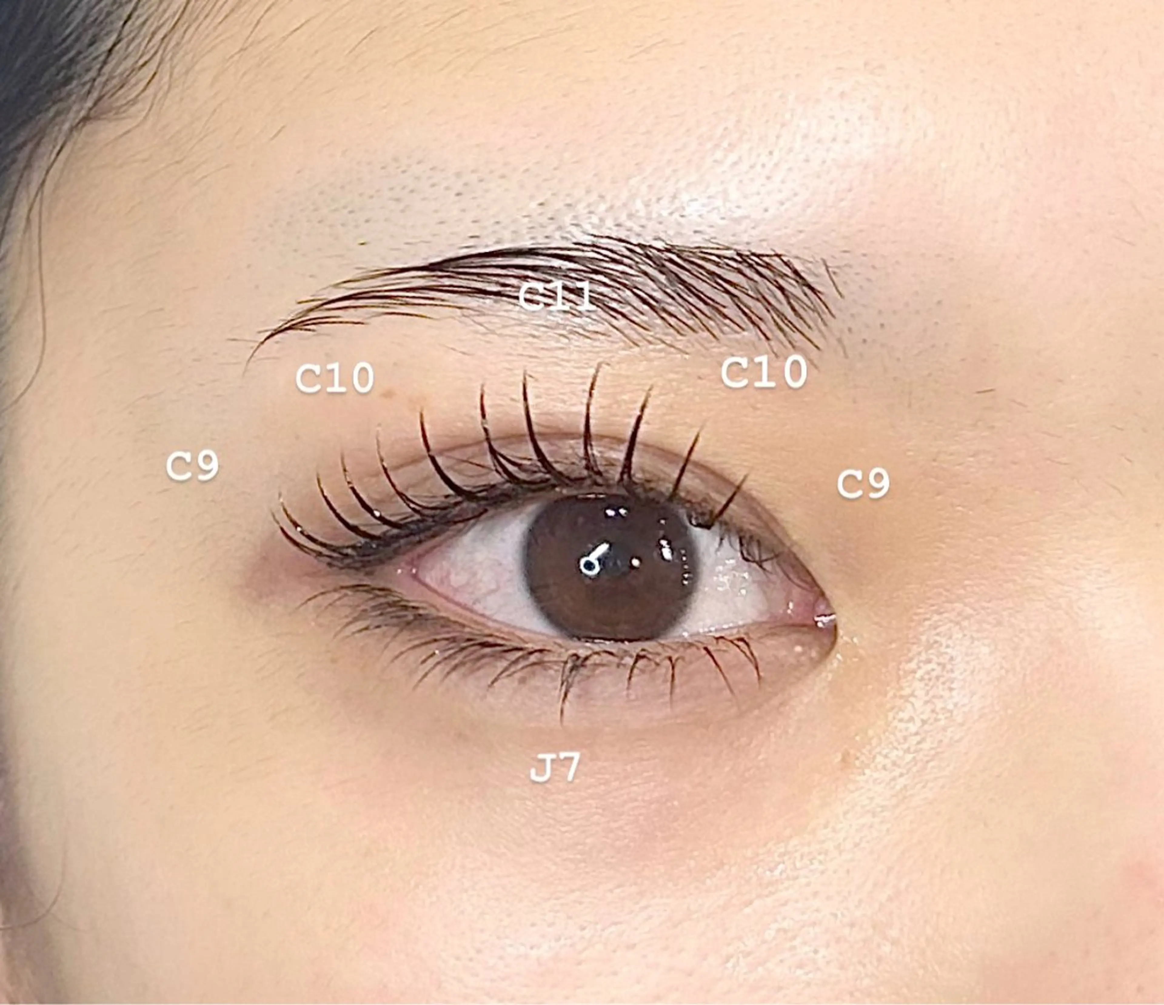 マツエク・マツパ マツエク étora 新宿店 ☺︎のマツエク・マツパデザイン