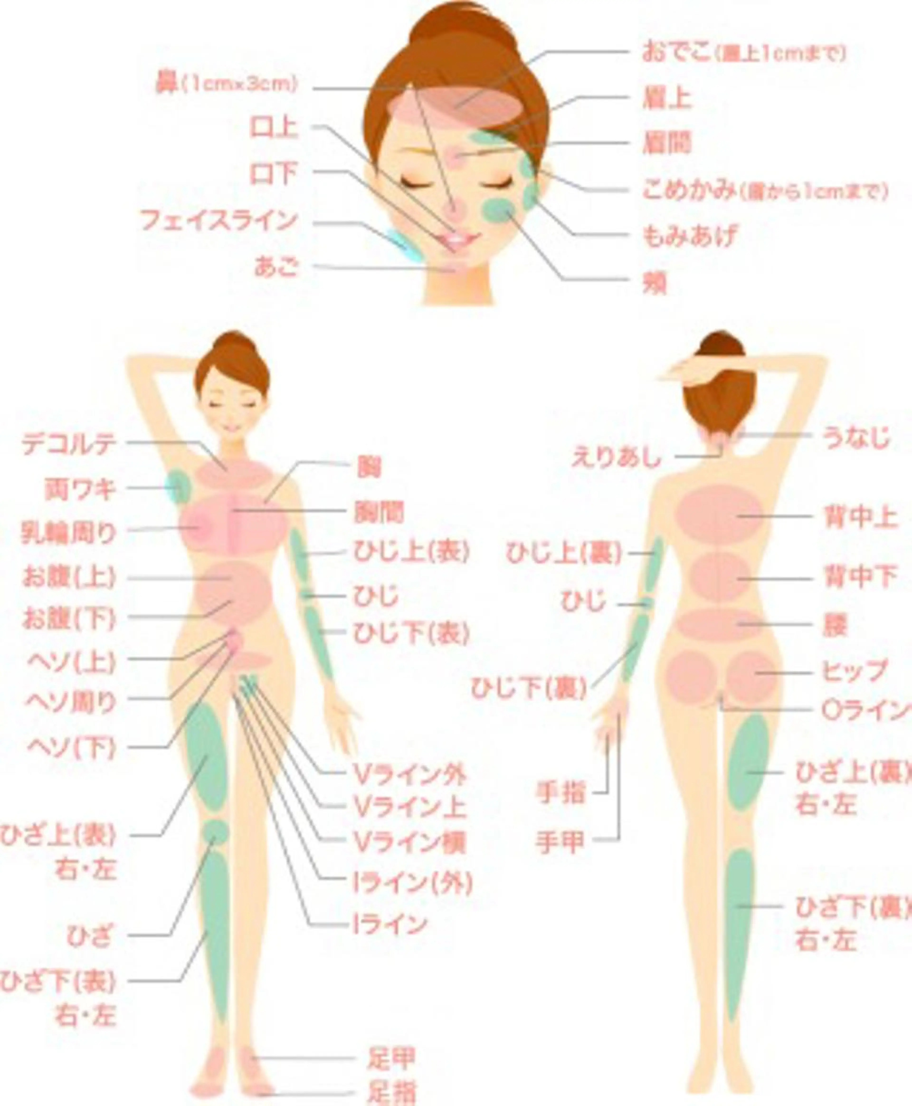 全身脱毛(お顔、VIo込み)★女性のみ★の写真