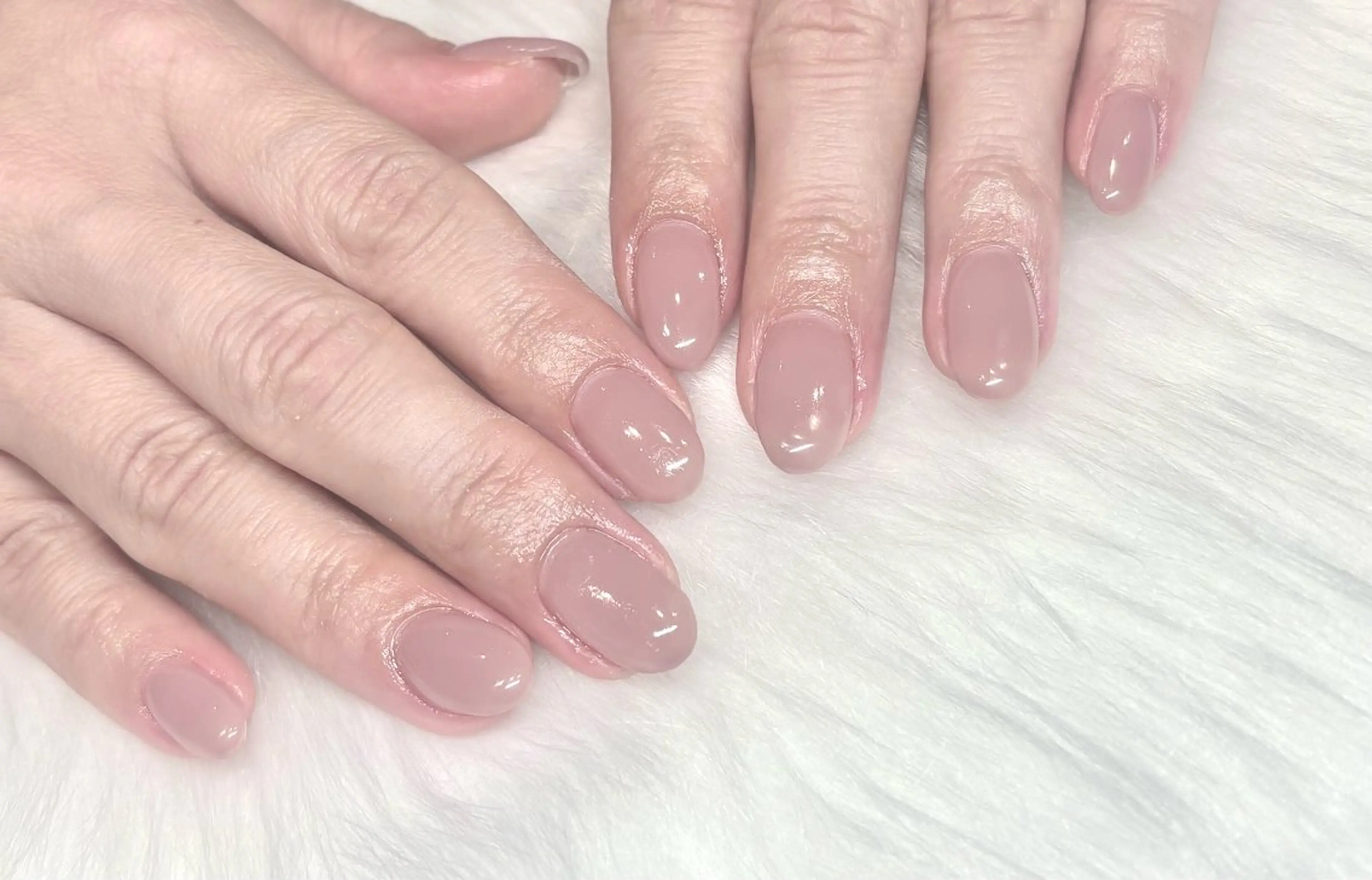 ワンカラーの写真