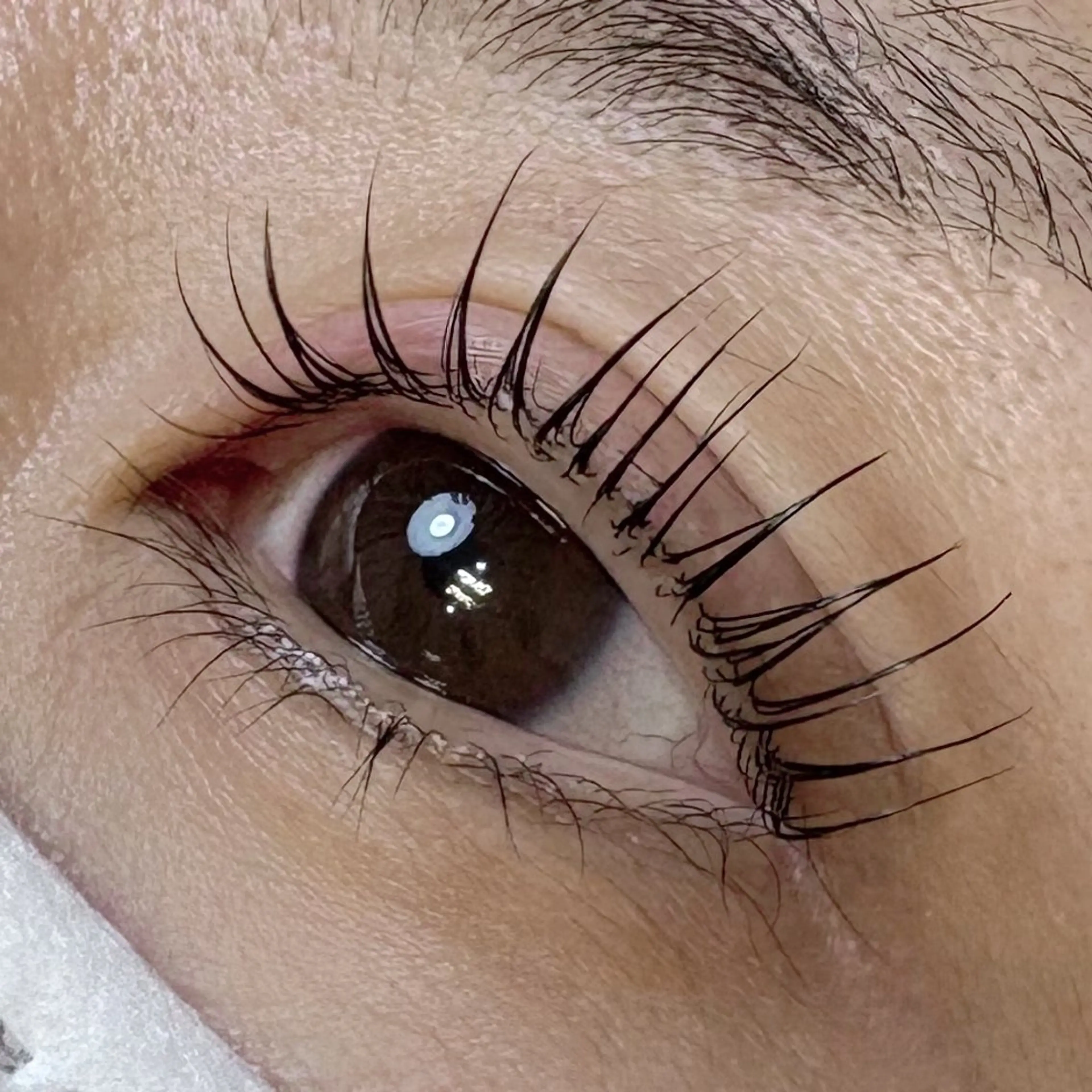 マツエク・マツパ マツパ Momonails Shoのマツエク・マツパデザイン