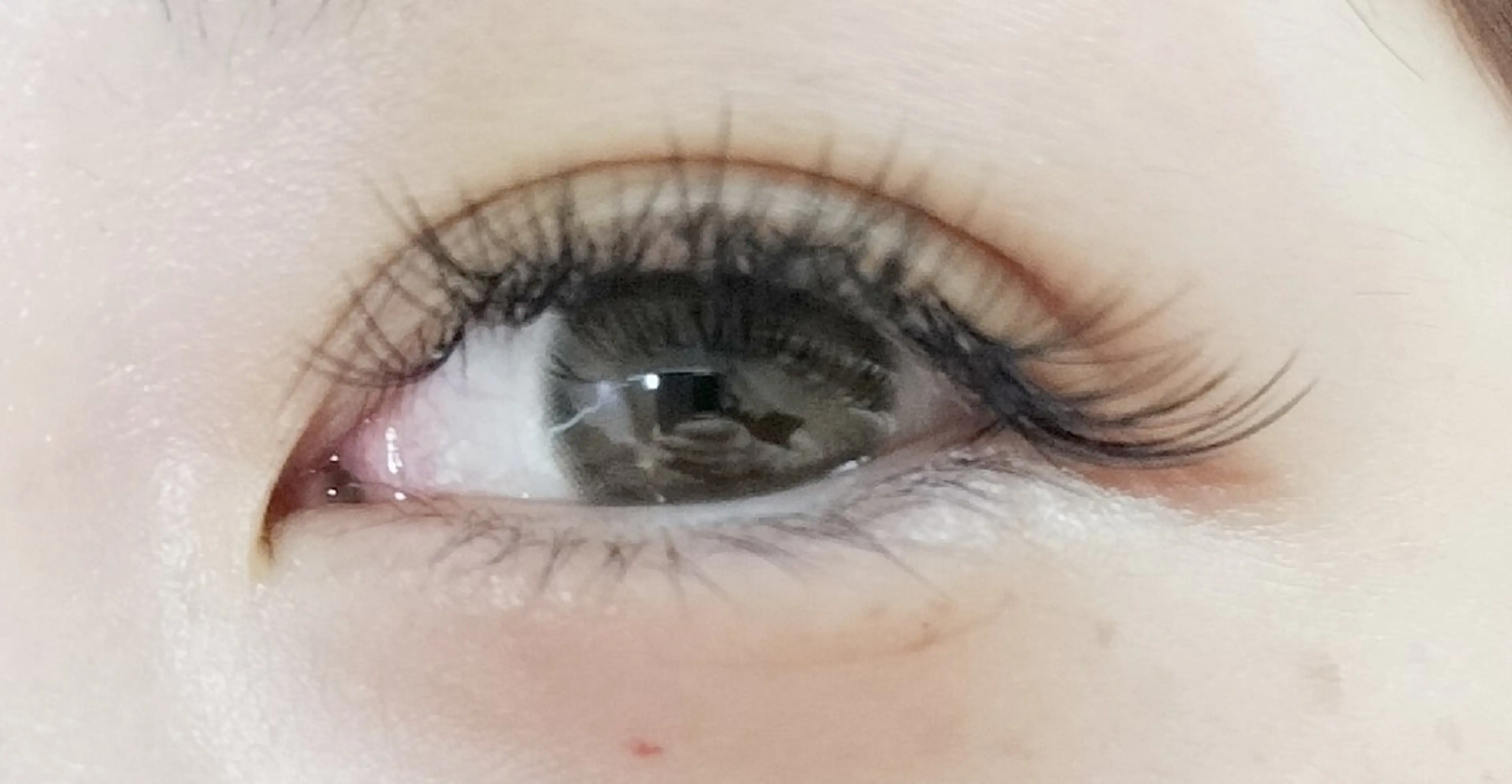 マツエク・マツパ arms lash 白井のマツエク・マツパデザイン