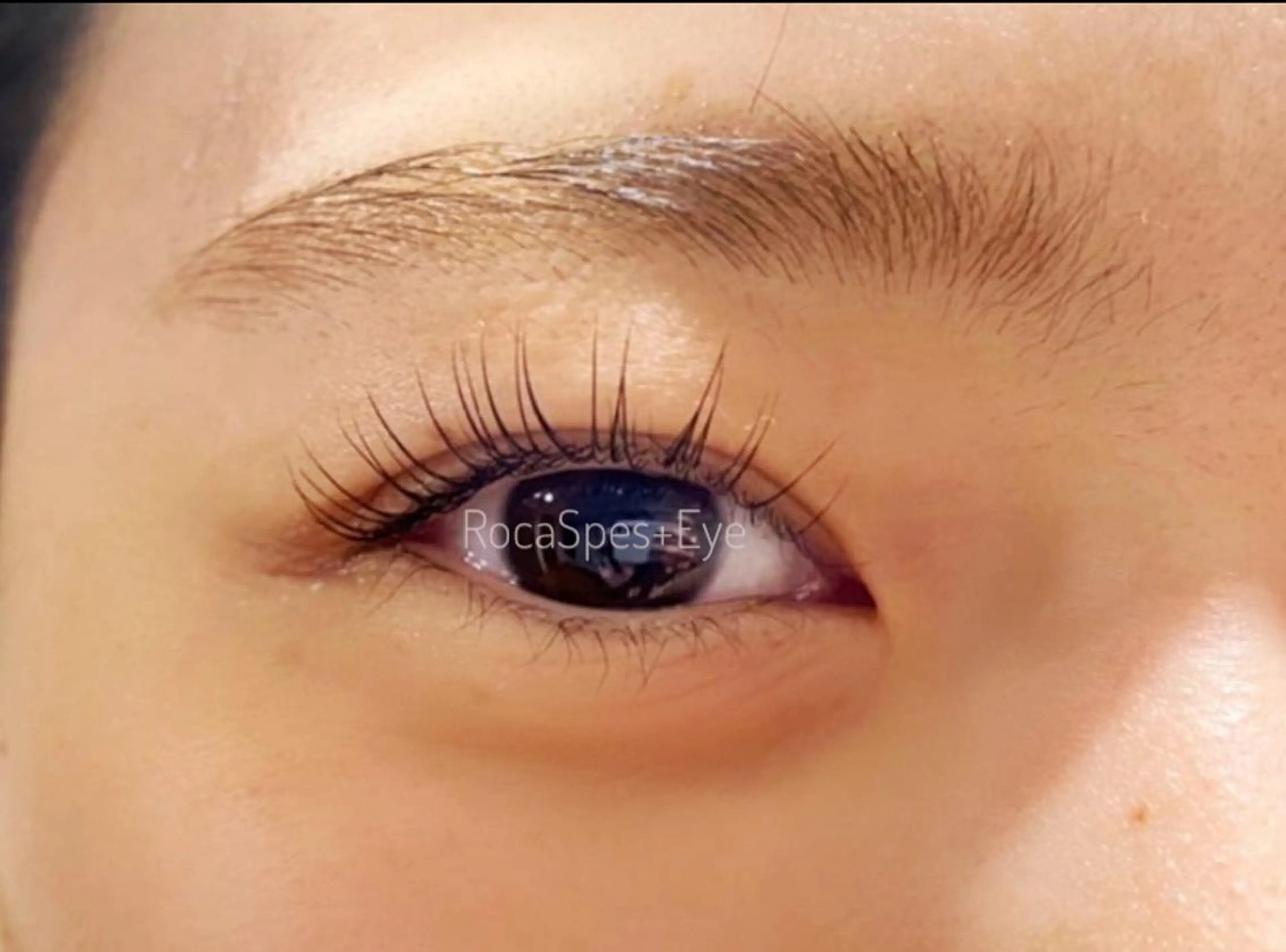 パリジェンヌラッシュリフト★ 【専用ケラチントリートメント付き】 ¥6,800→¥6,200の写真