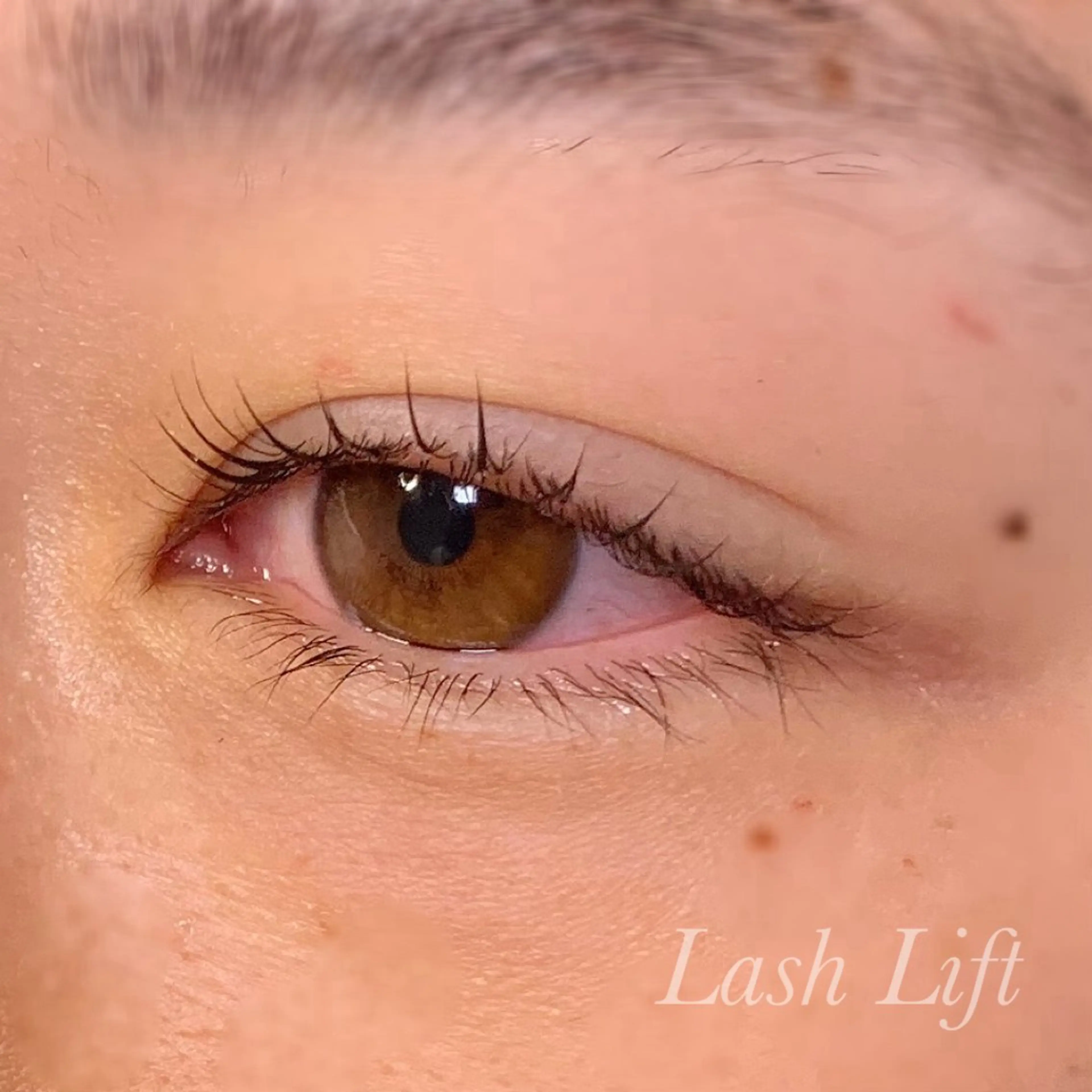 マツエク・マツパ まつげパーマ マツパ Ayumi.pro 🍆N《4階》のマツエク・マツパデザイン