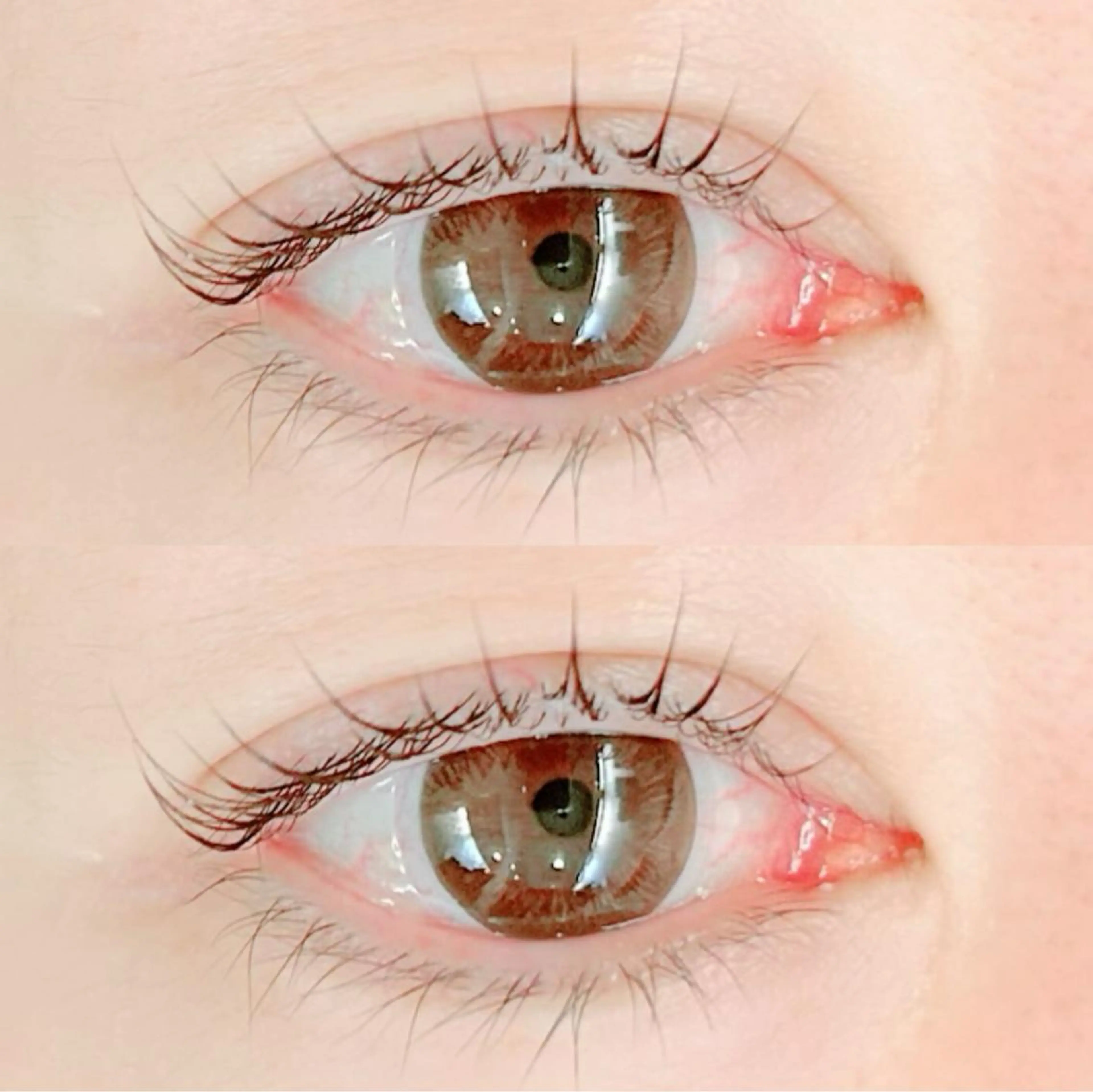 マツエク・マツパ 艶カラー/あいか💜 天王寺阿倍野のマツエク・マツパデザイン