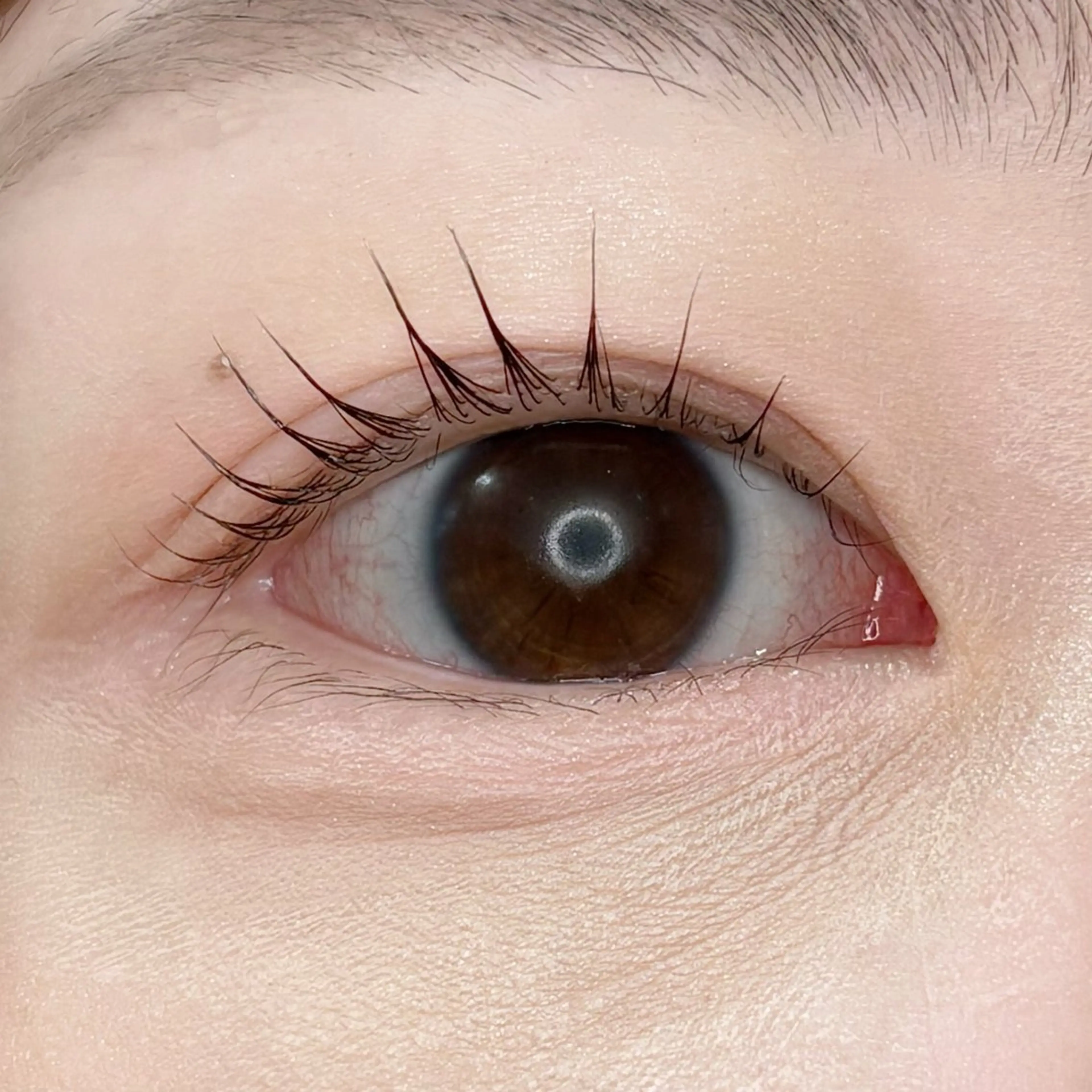 マツエク・マツパ マツパ 工藤 羽珠のマツエク・マツパデザイン