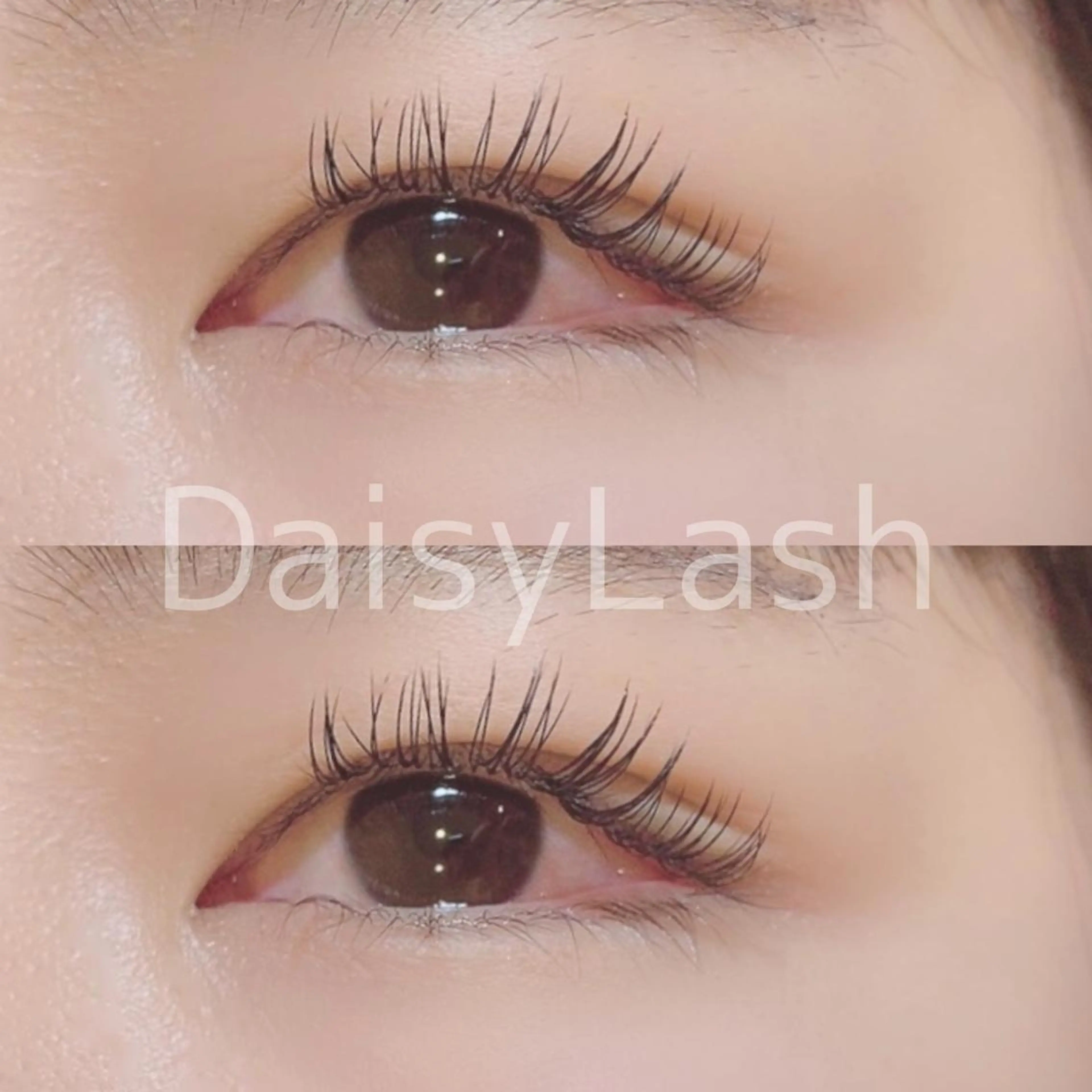 マツエク・マツパ DaisyLash 京橋店のマツエク・マツパデザイン