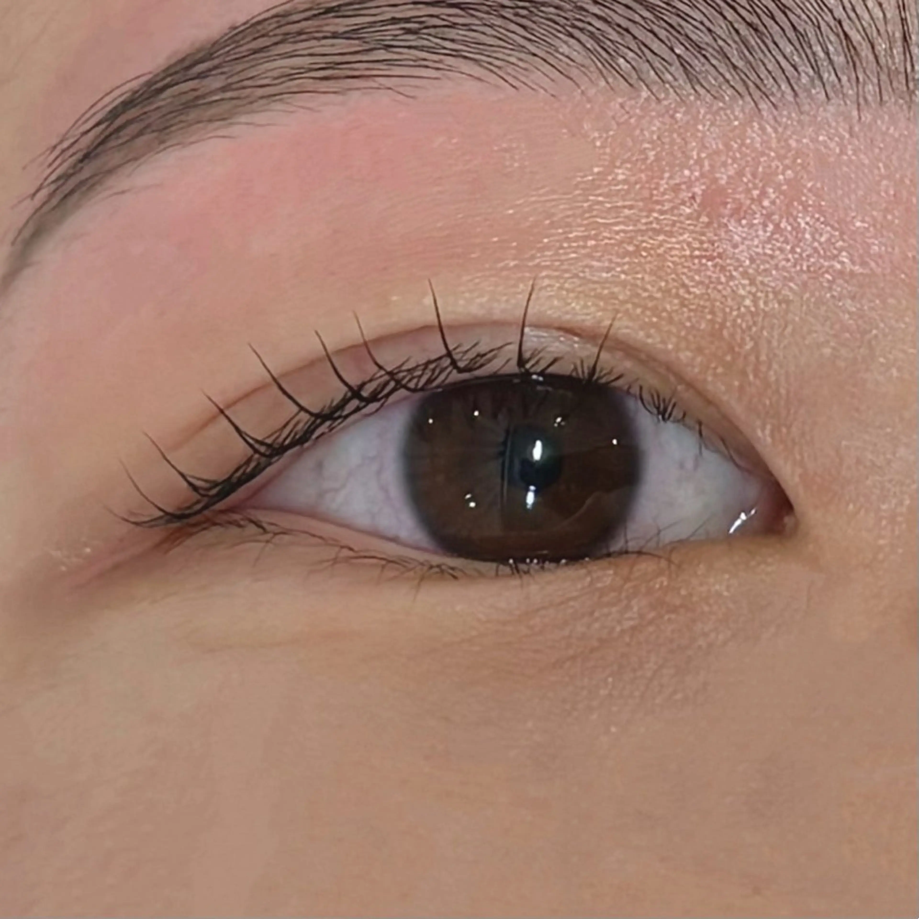 マツエク・マツパ MASAMI / 四条烏丸店のマツエク・マツパデザイン