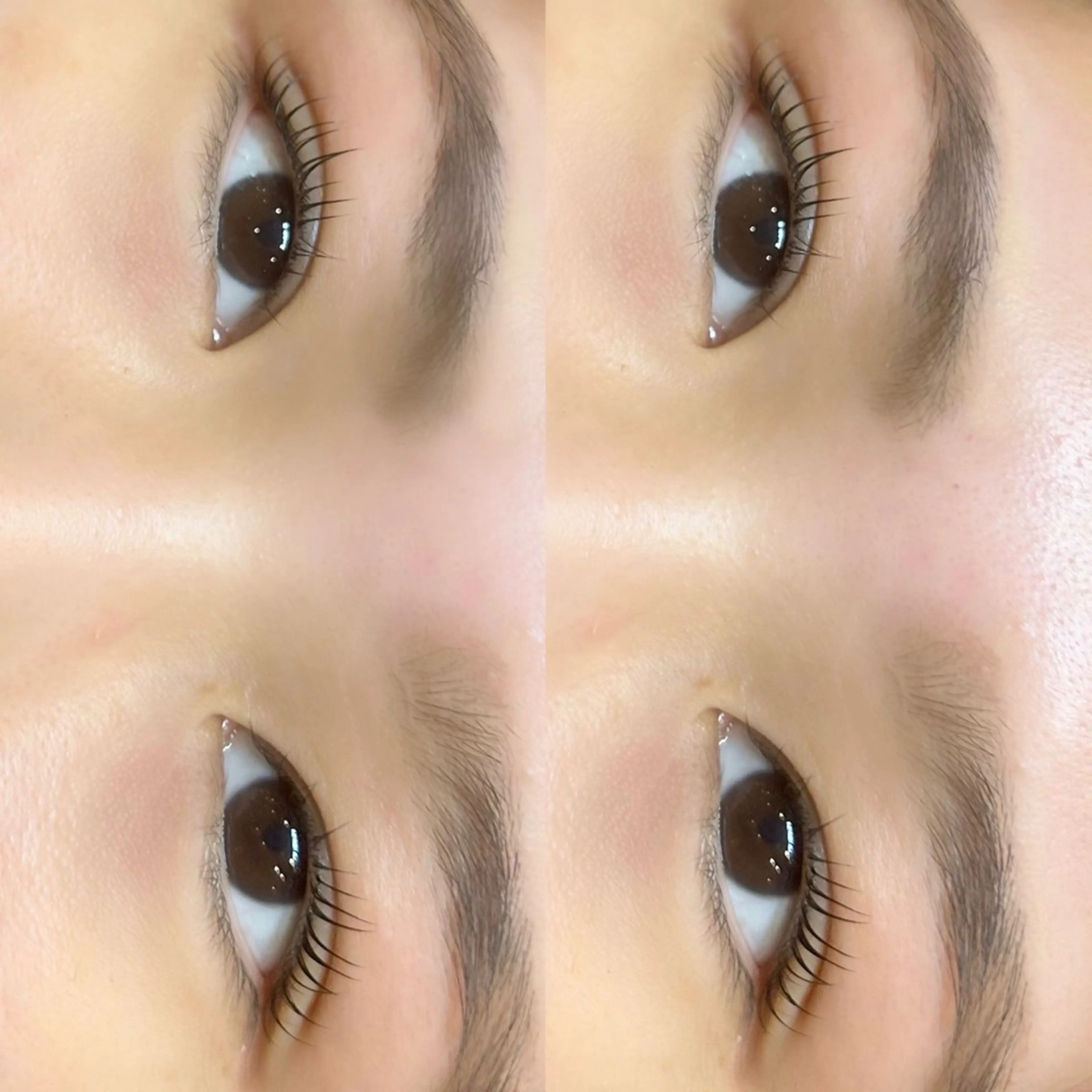 マツエク・マツパ まほ  平野/ 長吉六反/喜連瓜破のマツエク・マツパデザイン