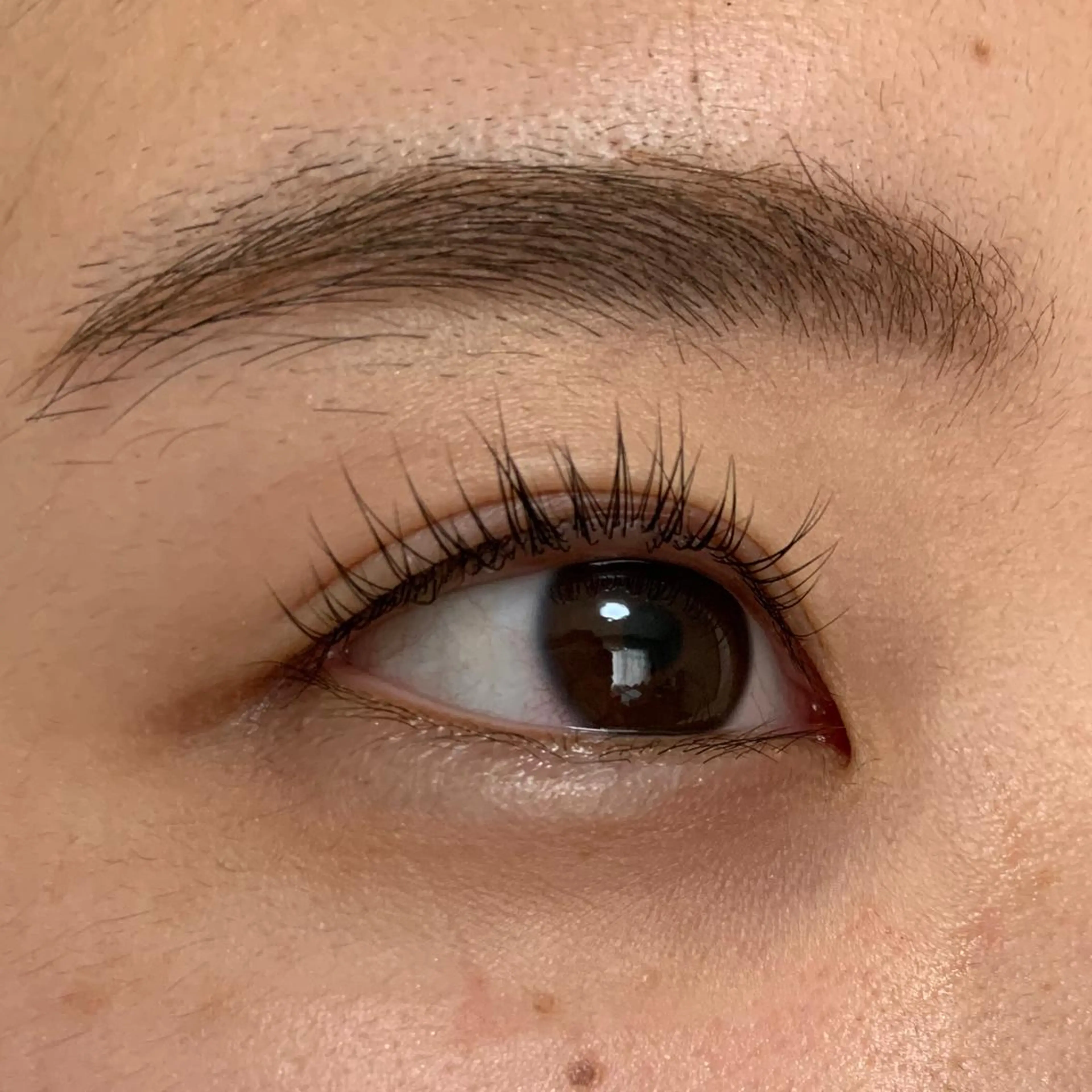 マツエク・マツパ Leaf  Namiのマツエク・マツパデザイン