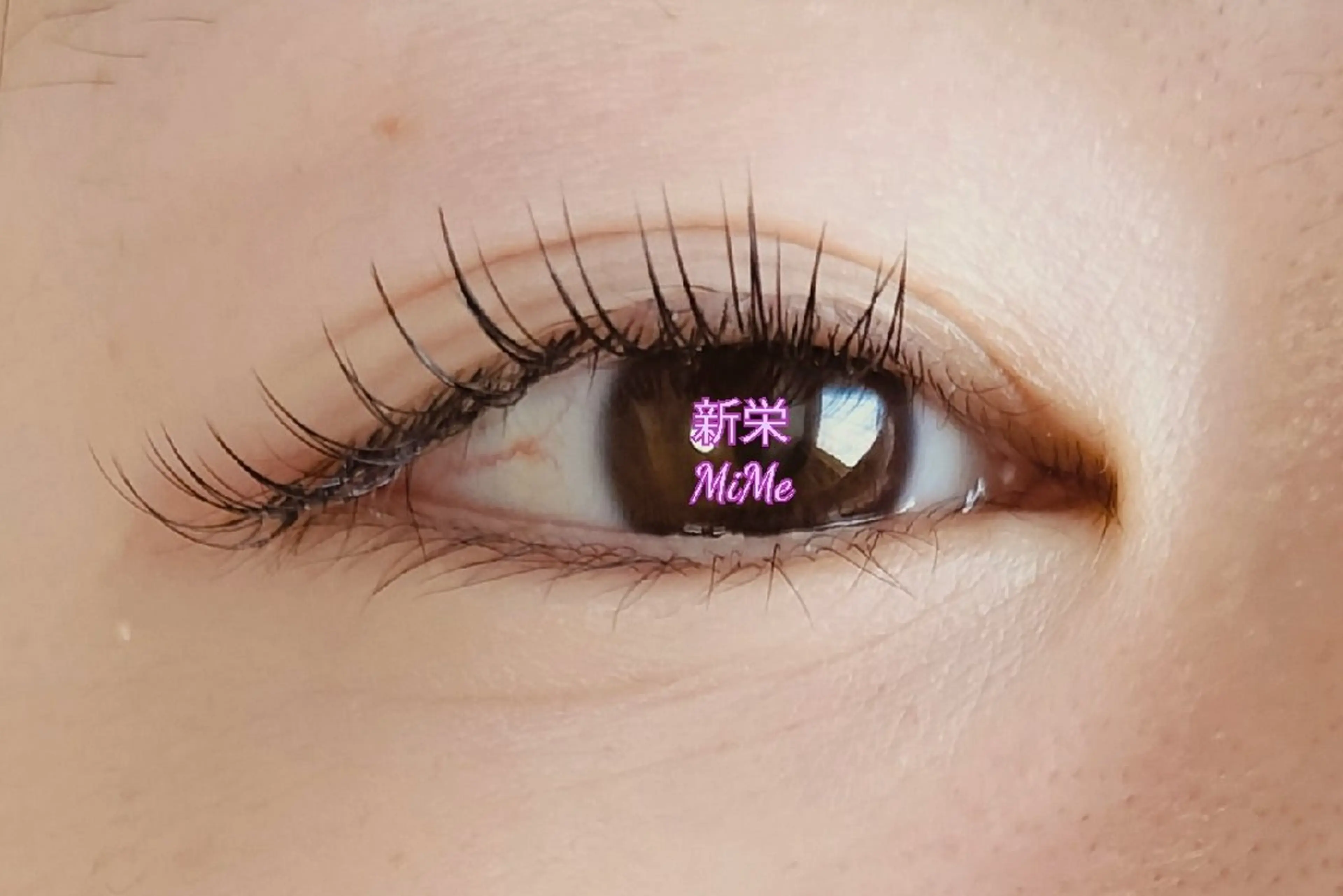 マツエク・マツパ フラットラッシュ マツエク ミミー 南のマツエク・マツパデザイン