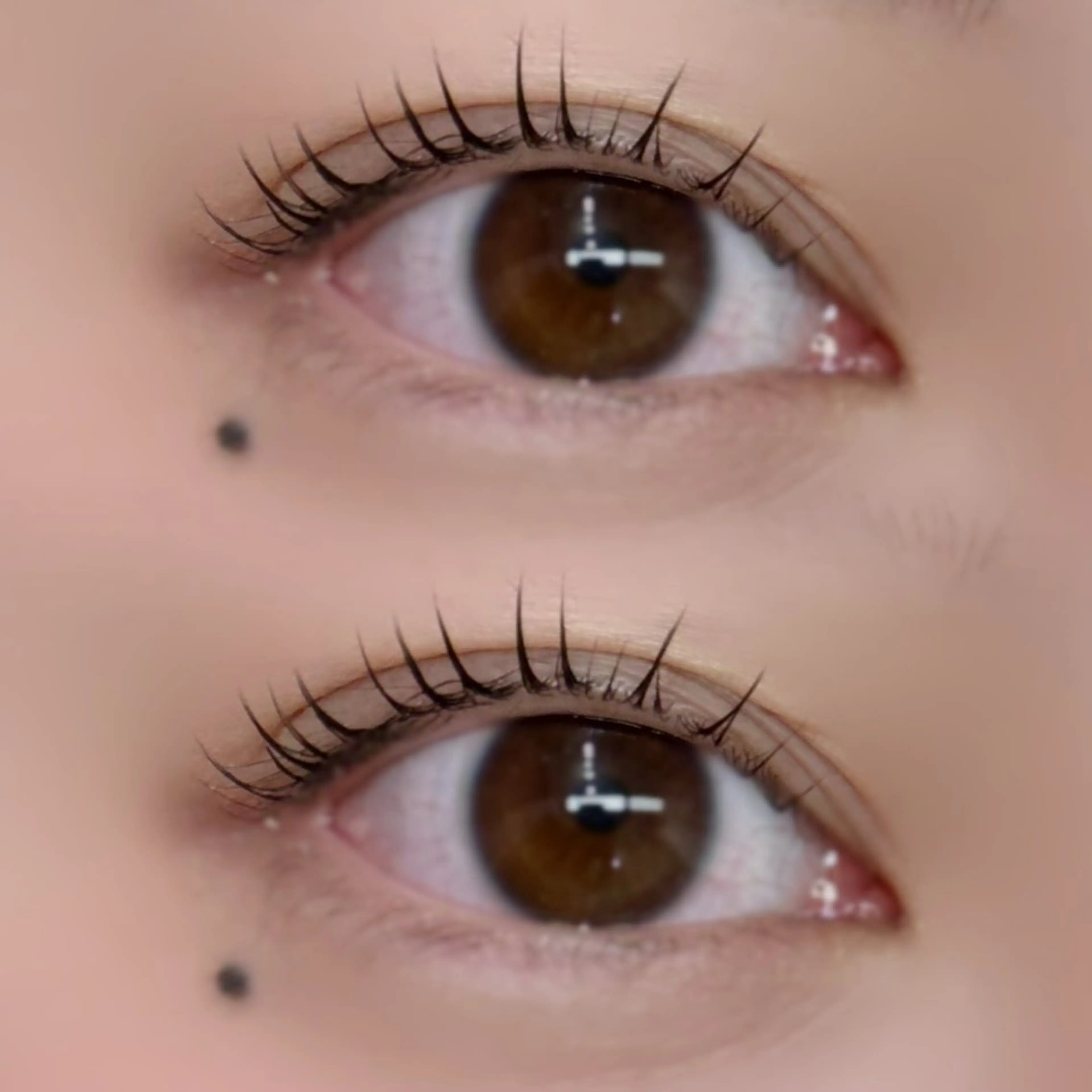 マツエク・マツパ Crevia Chieのマツエク・マツパデザイン