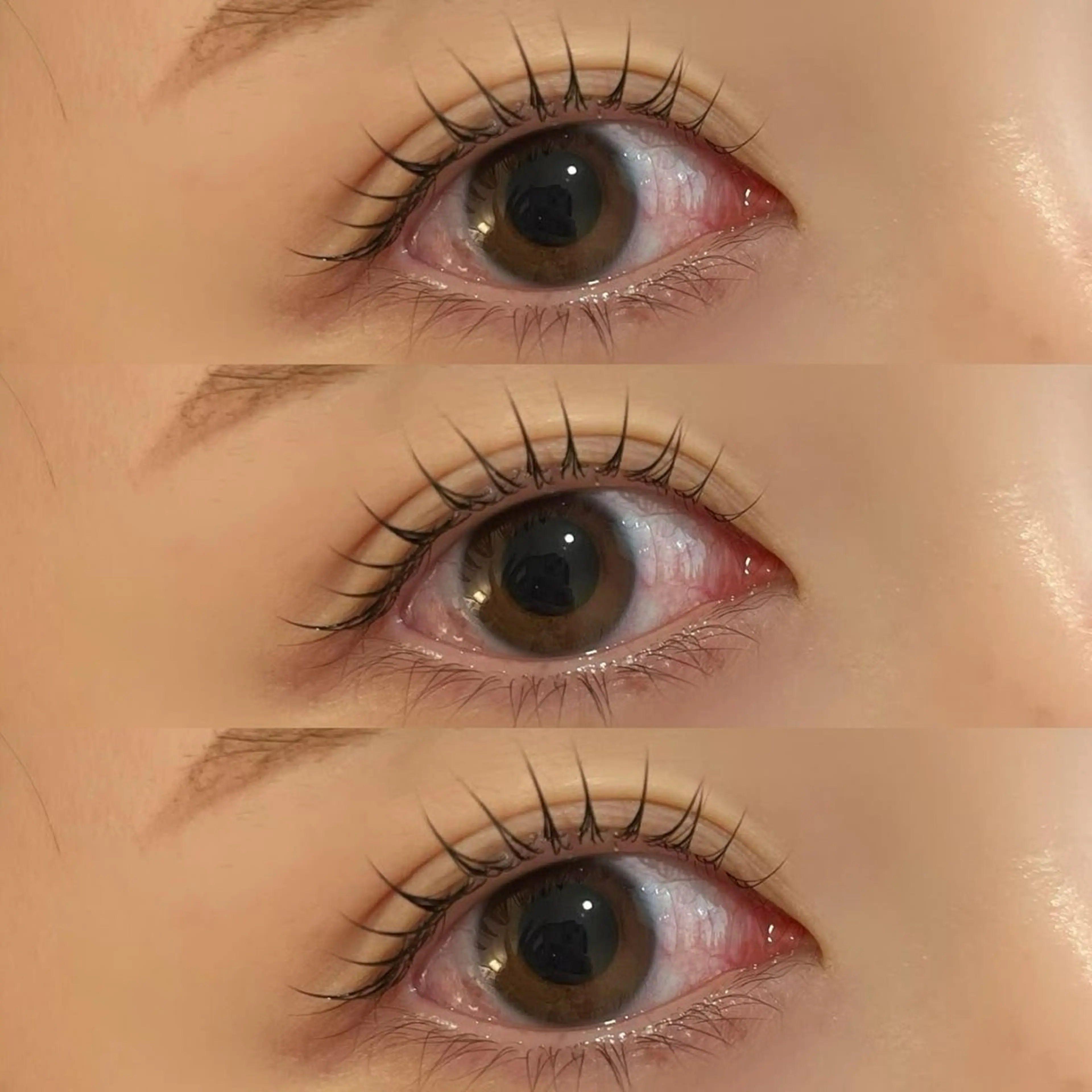 ラッシュリフト+アイシャンプー🪞🎀の写真