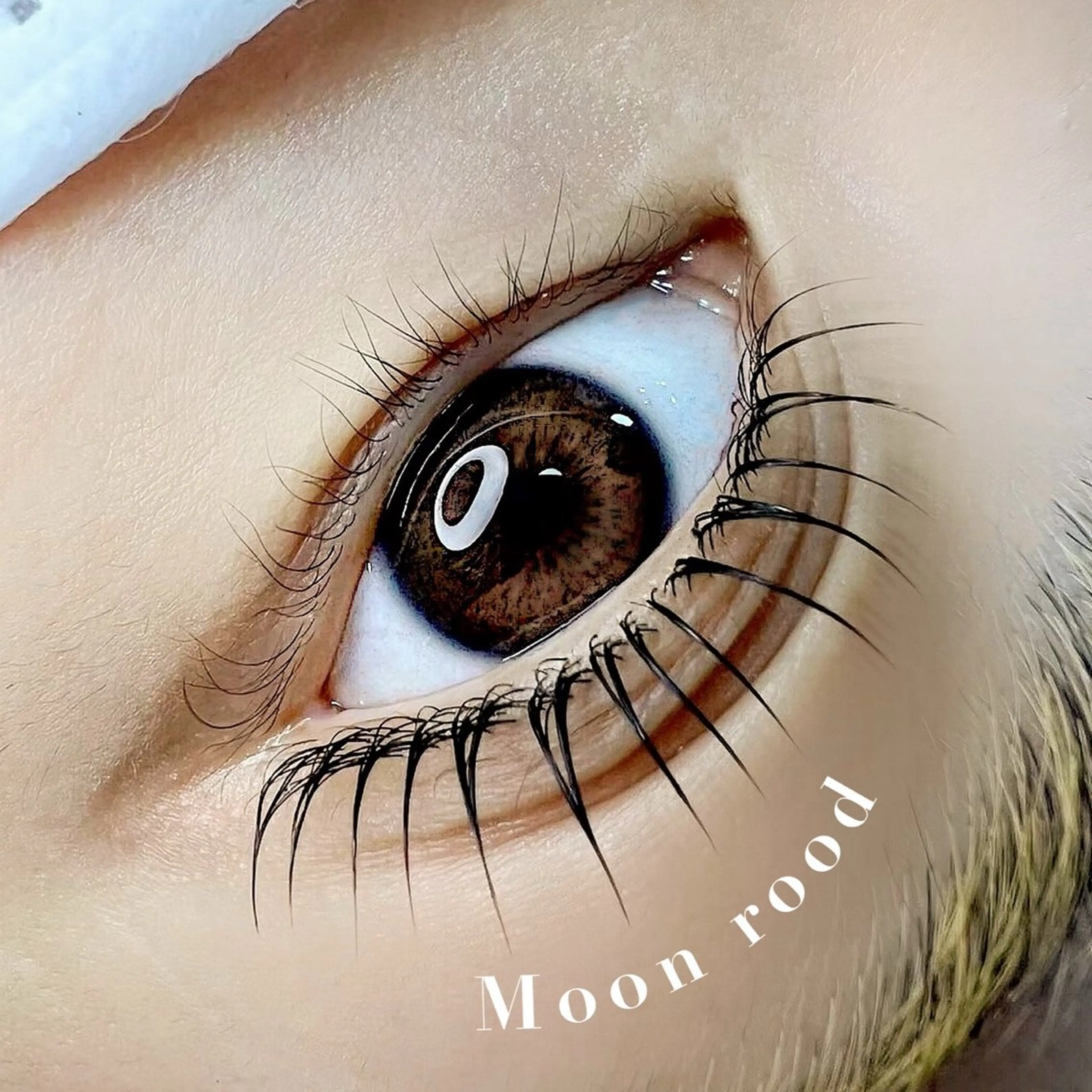 マツエク・マツパ Lash one所属・Lash one 大宮東口店のマツエク・マツパデザイン