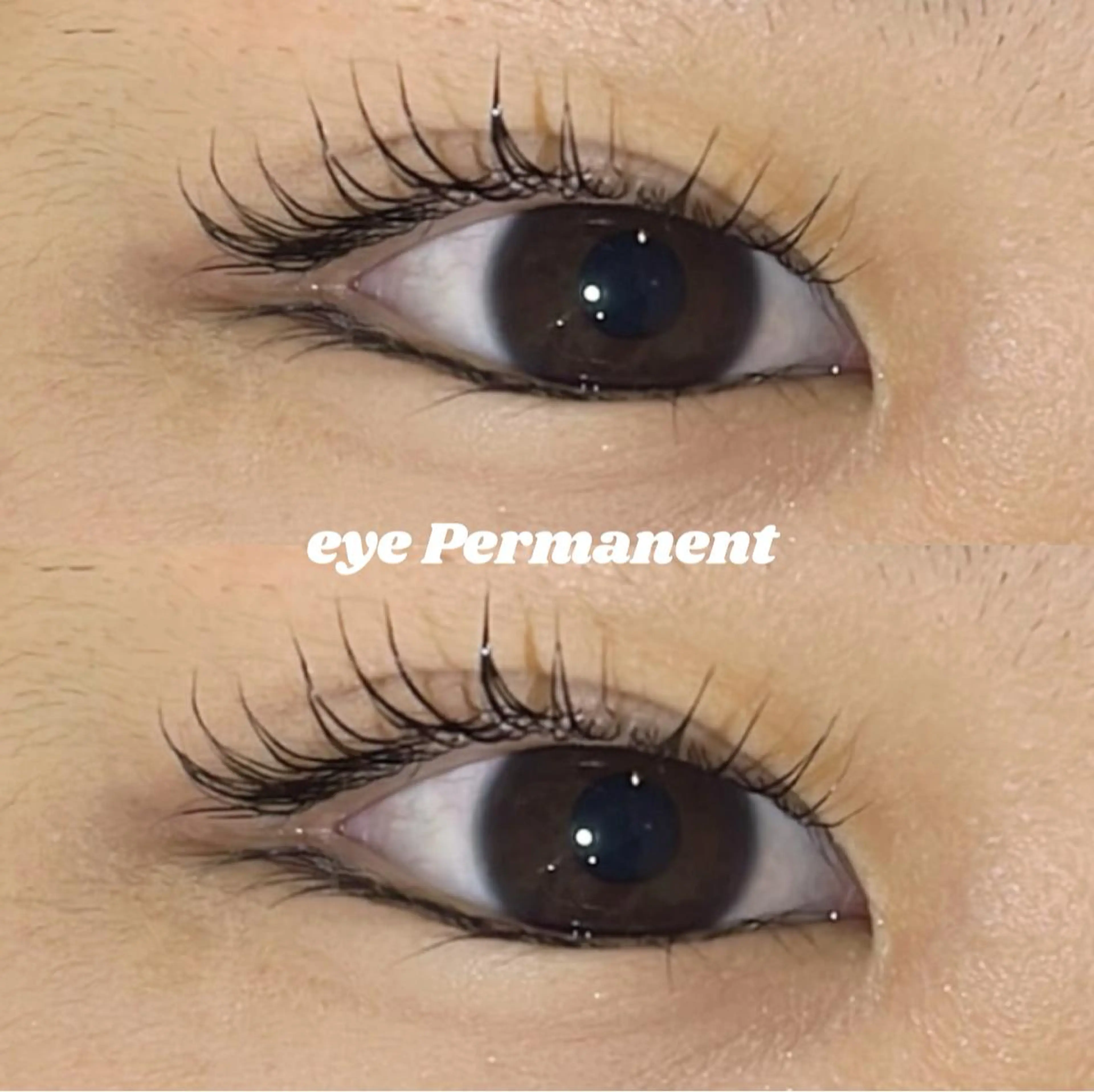 マツエク・マツパ マツパ mona 🎀韓国まつパ/眉毛のマツエク・マツパデザイン