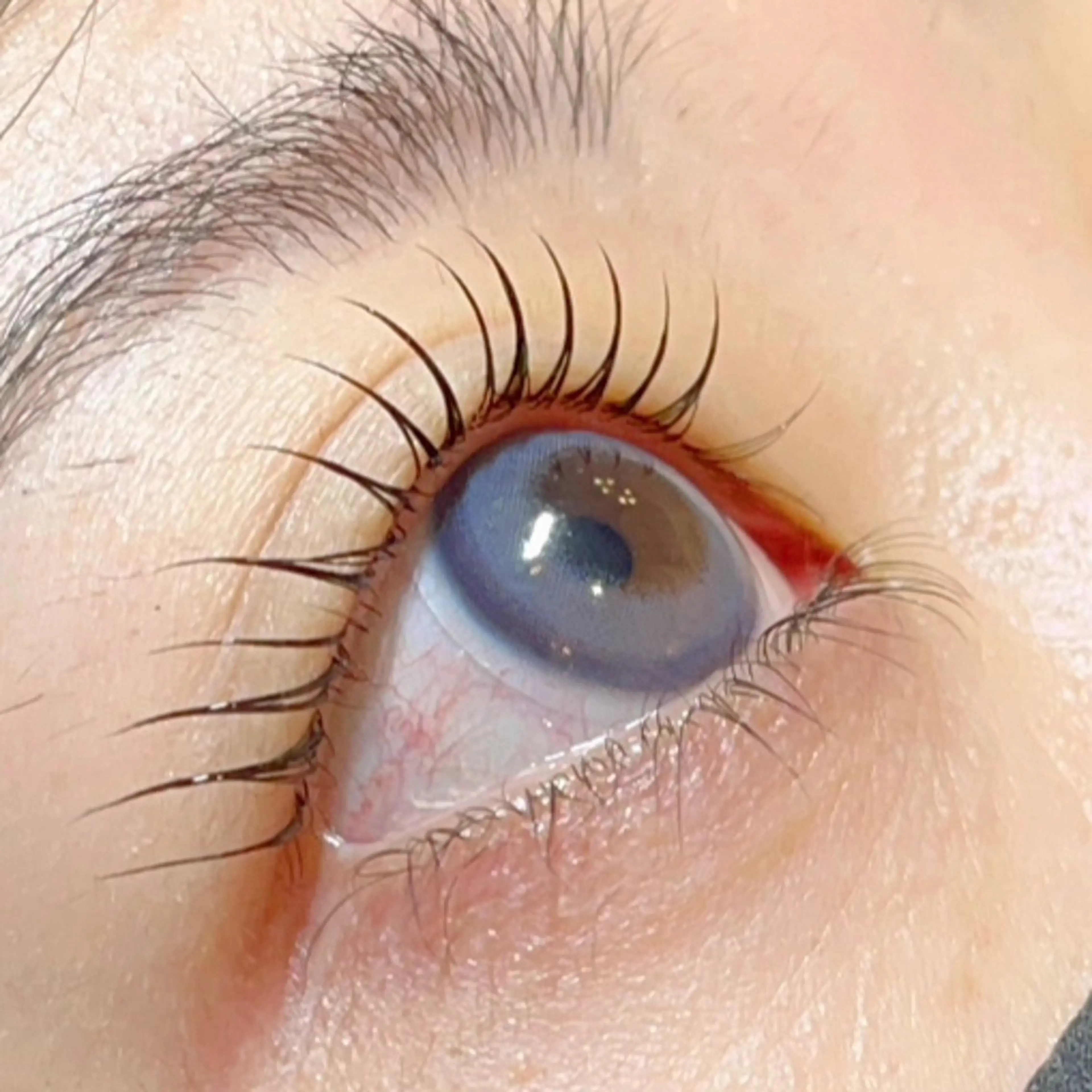 マツエク・マツパ sHeeR【シアー】 ハマナカのマツエク・マツパデザイン