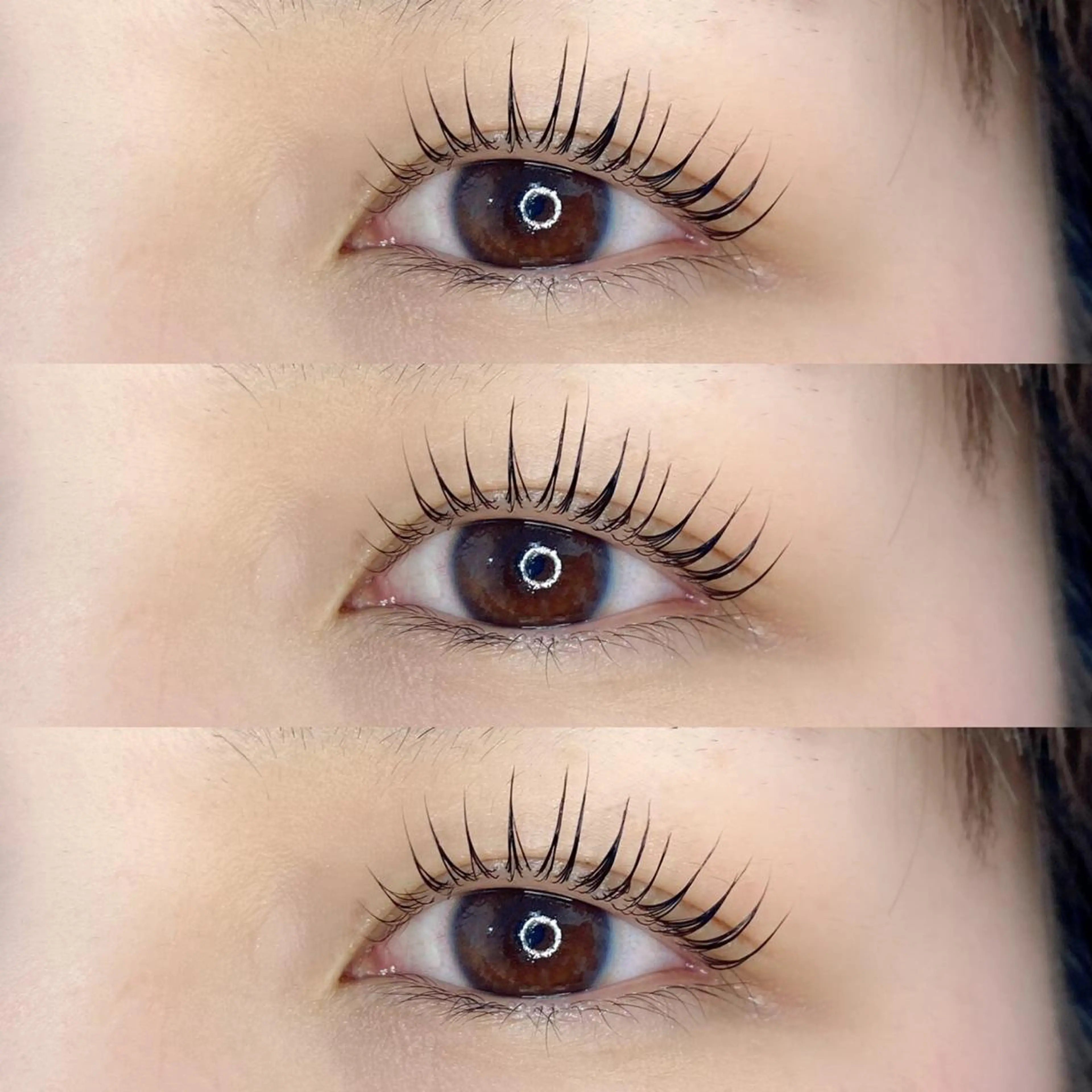 マツエク・マツパ LAND【ランド】 小鹿のマツエク・マツパデザイン