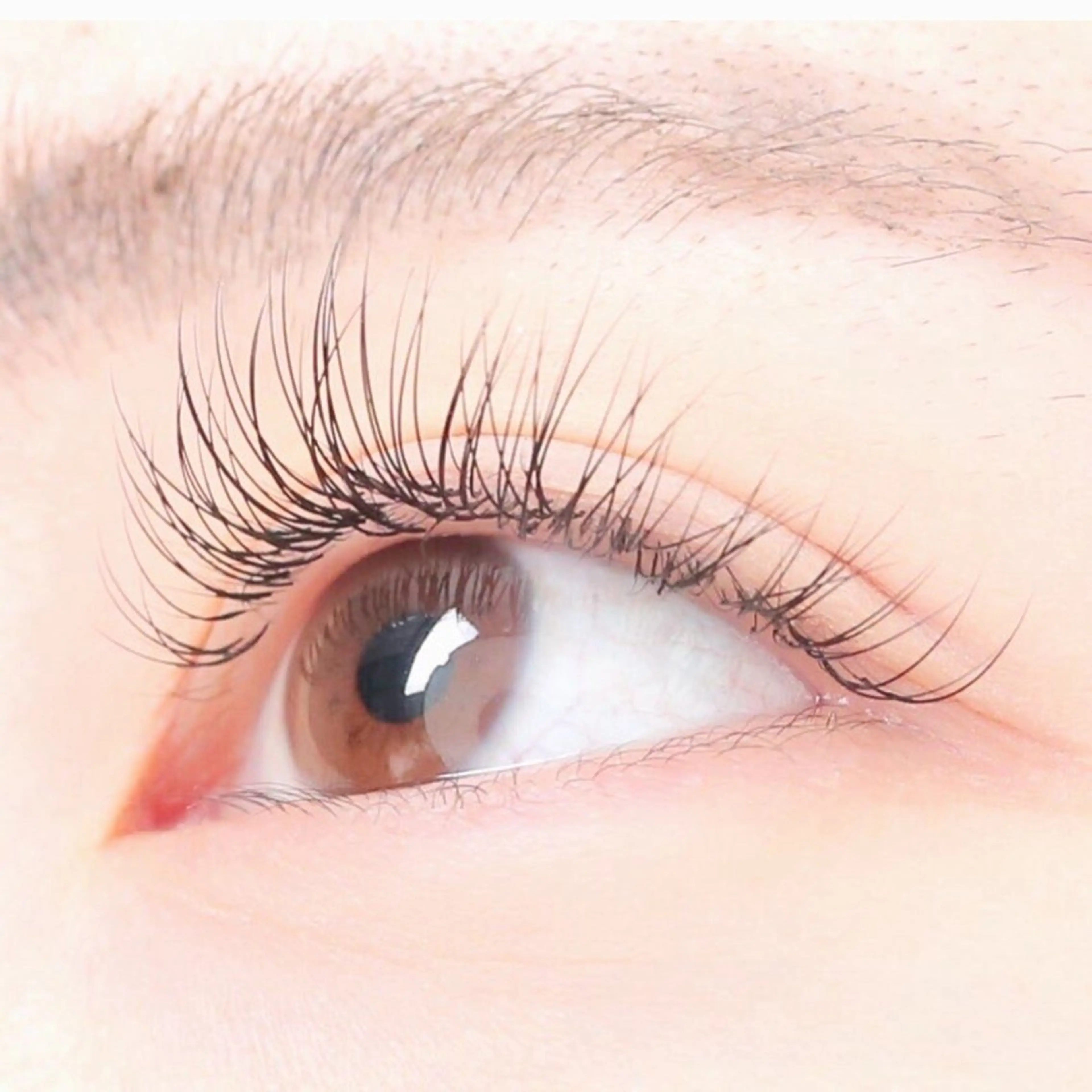 【最新技術&healthy☆】ラッシュリフト+LEDマツエク140本❣アイシャンプー付の写真