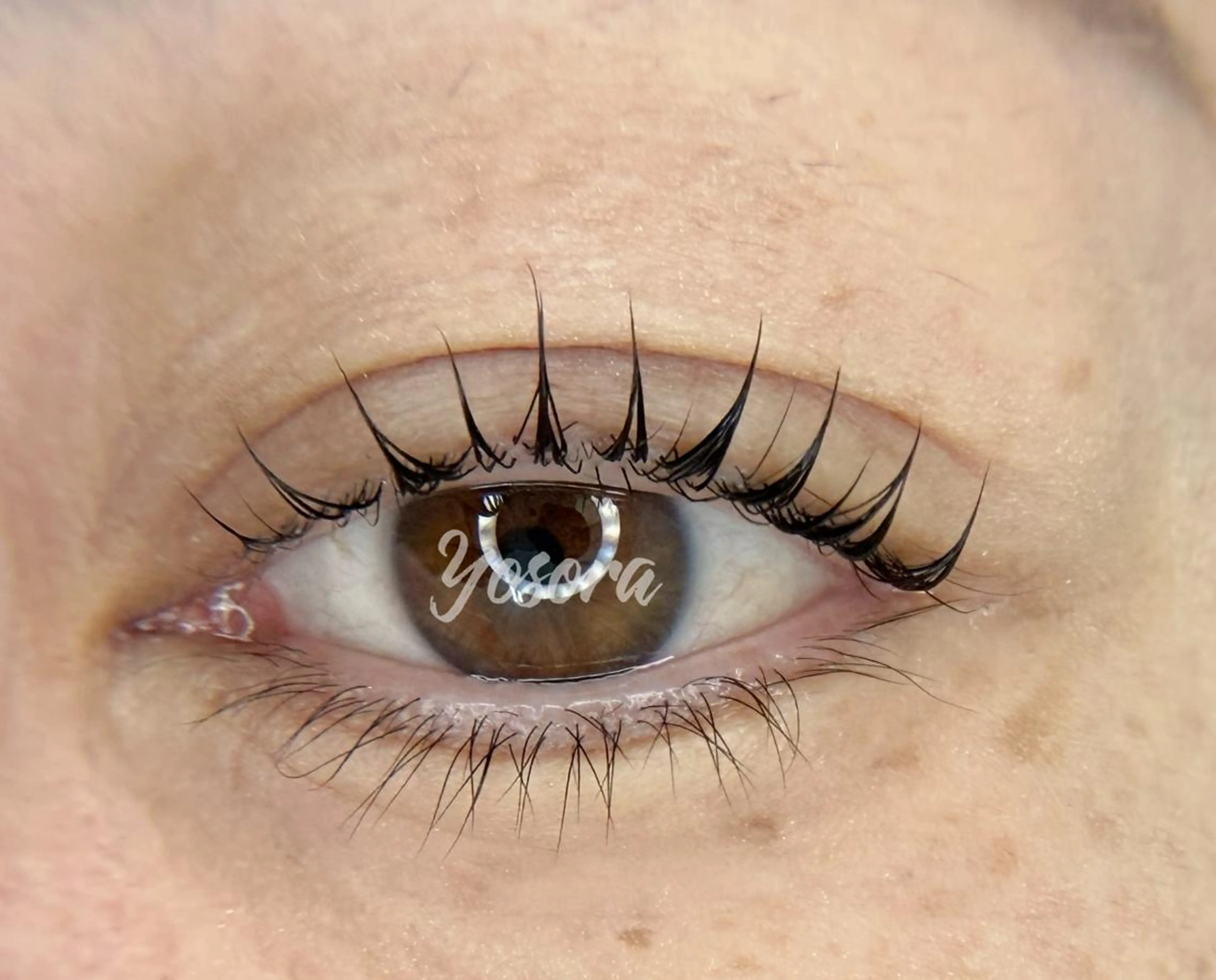 マツエク・マツパ 束感まつ毛 韓国風マツエク パリジェンヌラッシュリフト マツパ Yosora salonのマツエク・マツパデザイン