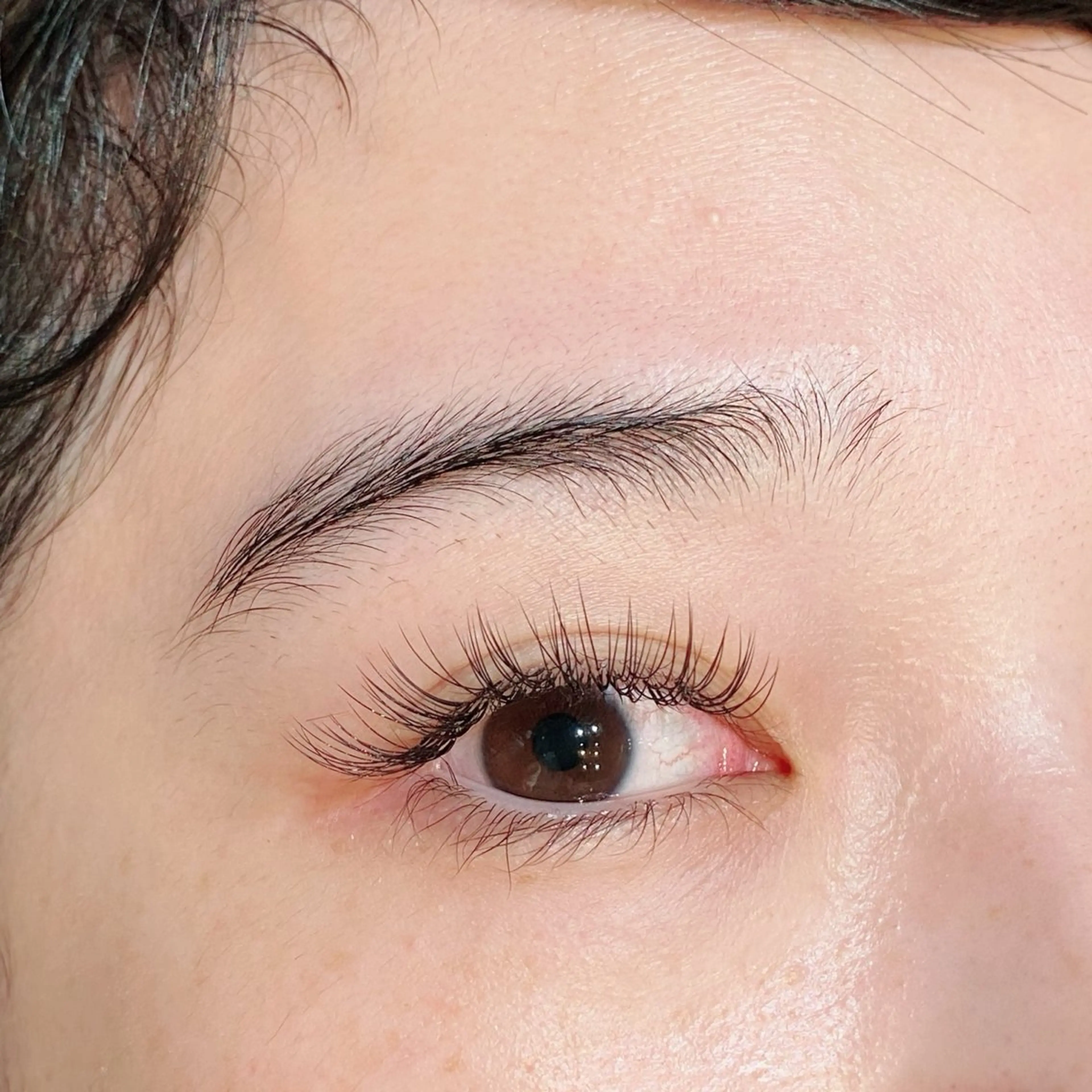 マツエク・マツパ Cカール セーブル 眉サロンharu 表参道🤍岡本の眉毛・アイブロウイメージ