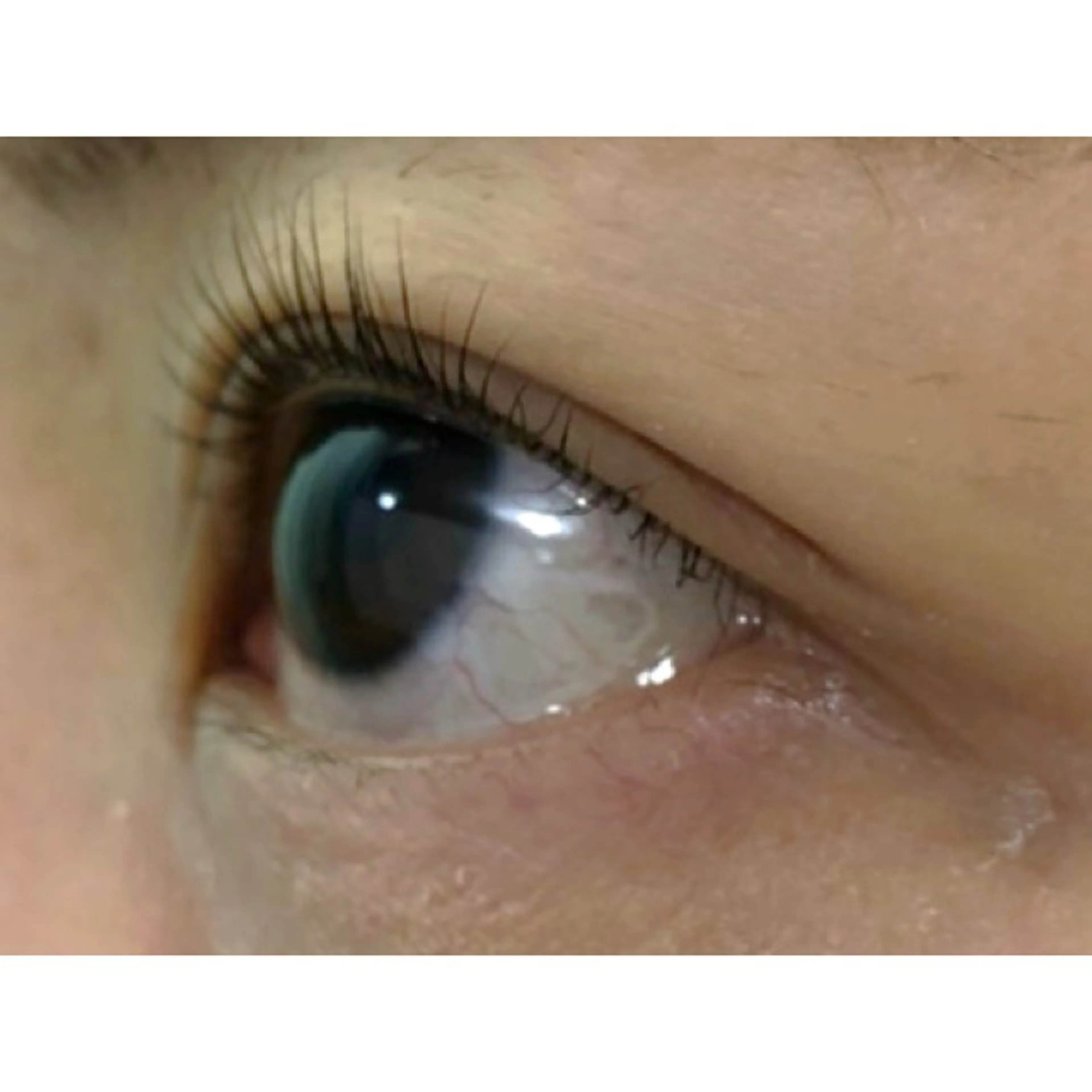 マツエク・マツパ Luz町田店 工藤の眉毛・アイブロウイメージ