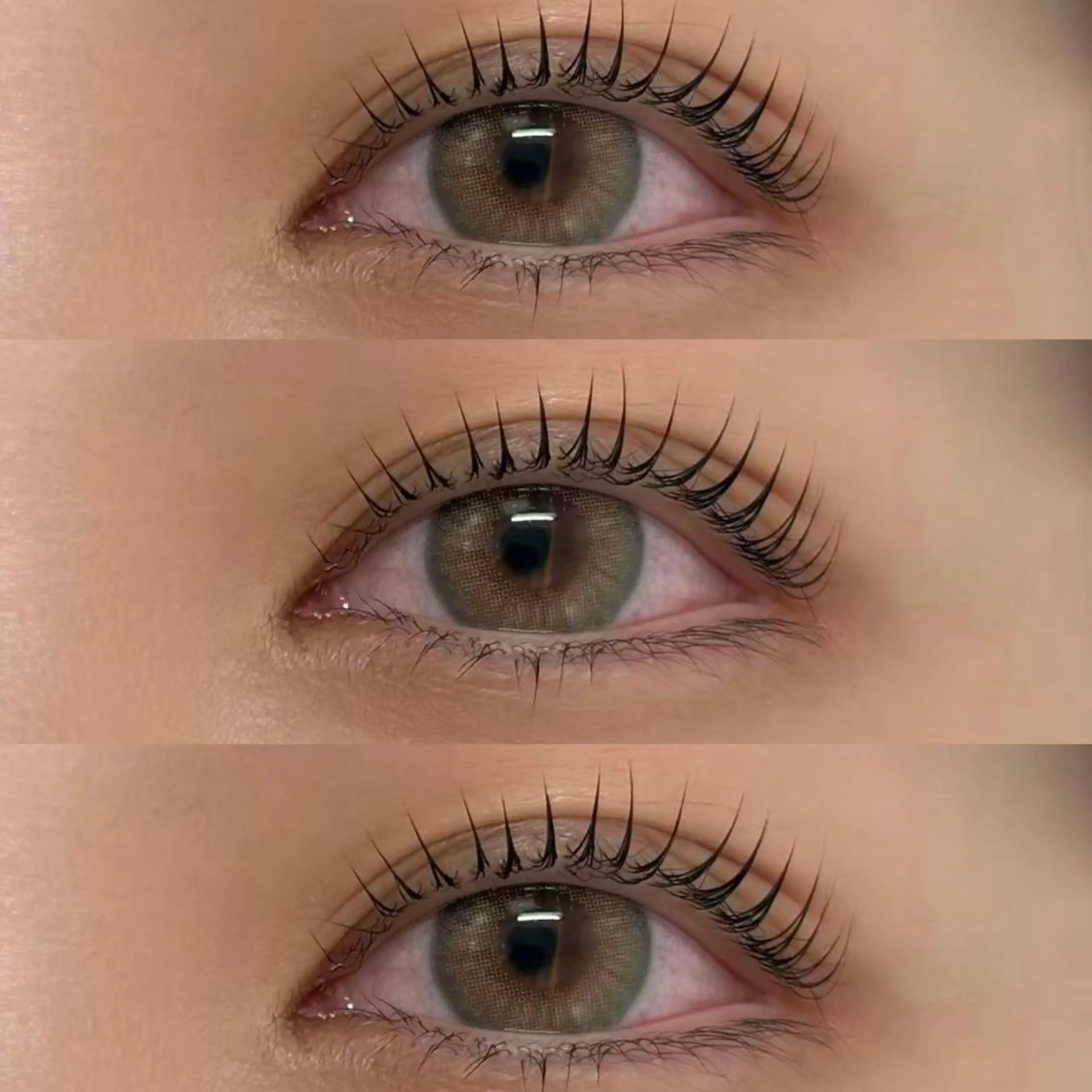 【練習モデル】4月🍊上まつ毛パーマor上パリジェンヌ🍊補足説明必ずお読み下さい🙇‍♀️の写真