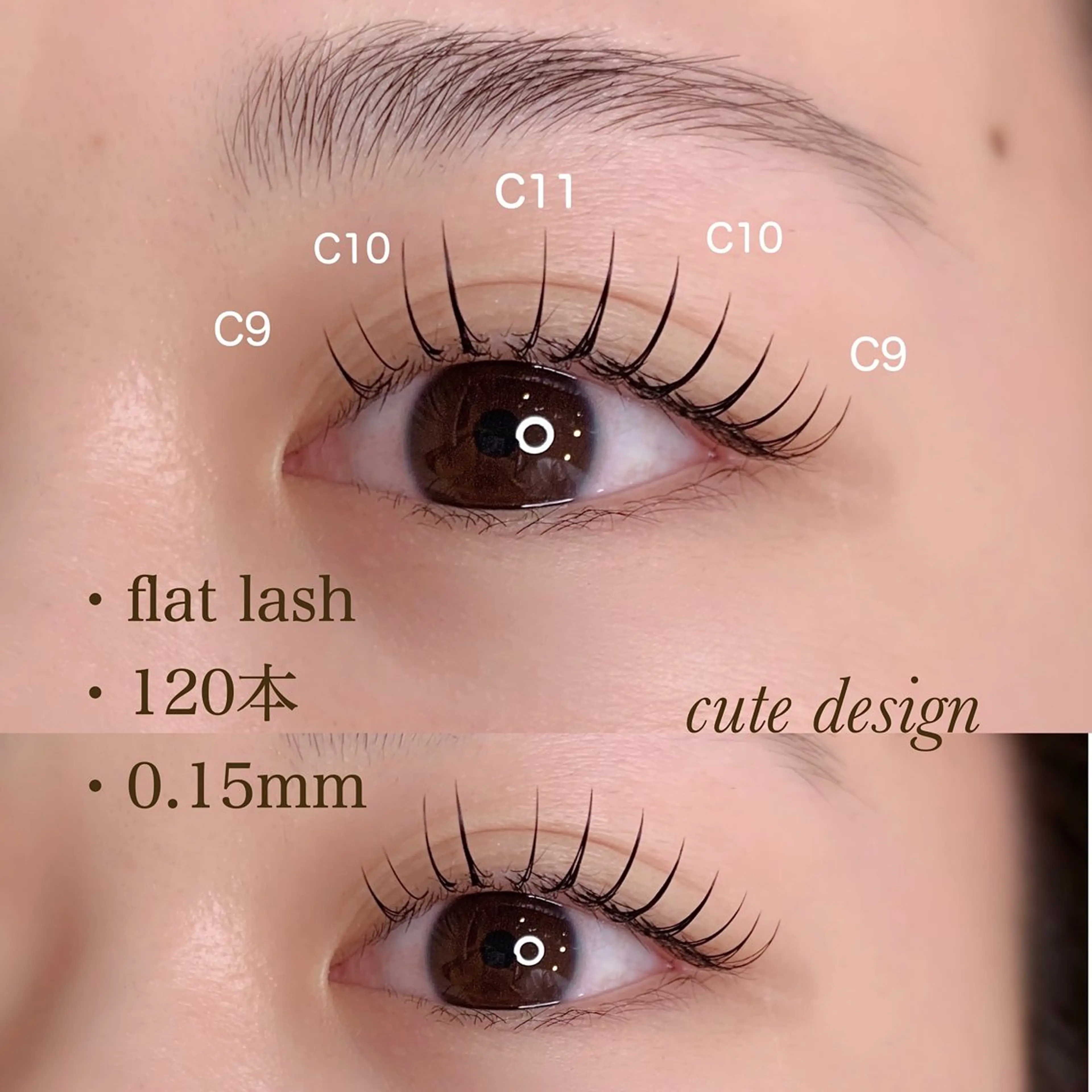 🎈フラットラッシュ120本(Wフラットラッシュ60束)🎈【ナチュラルに盛りたい方におすすめ🌟】の写真